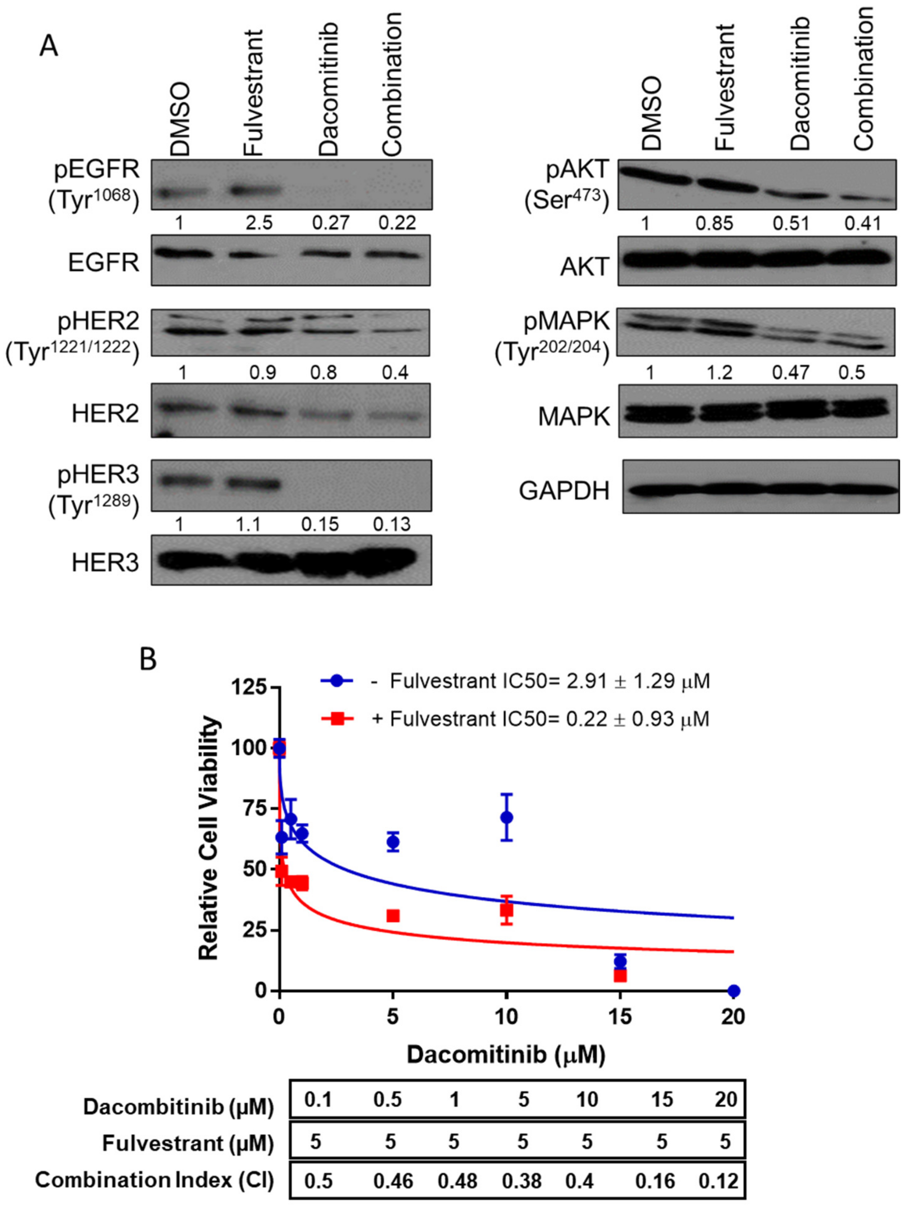 Ijms 23 00081 g001 Ijms 23 00081 g001