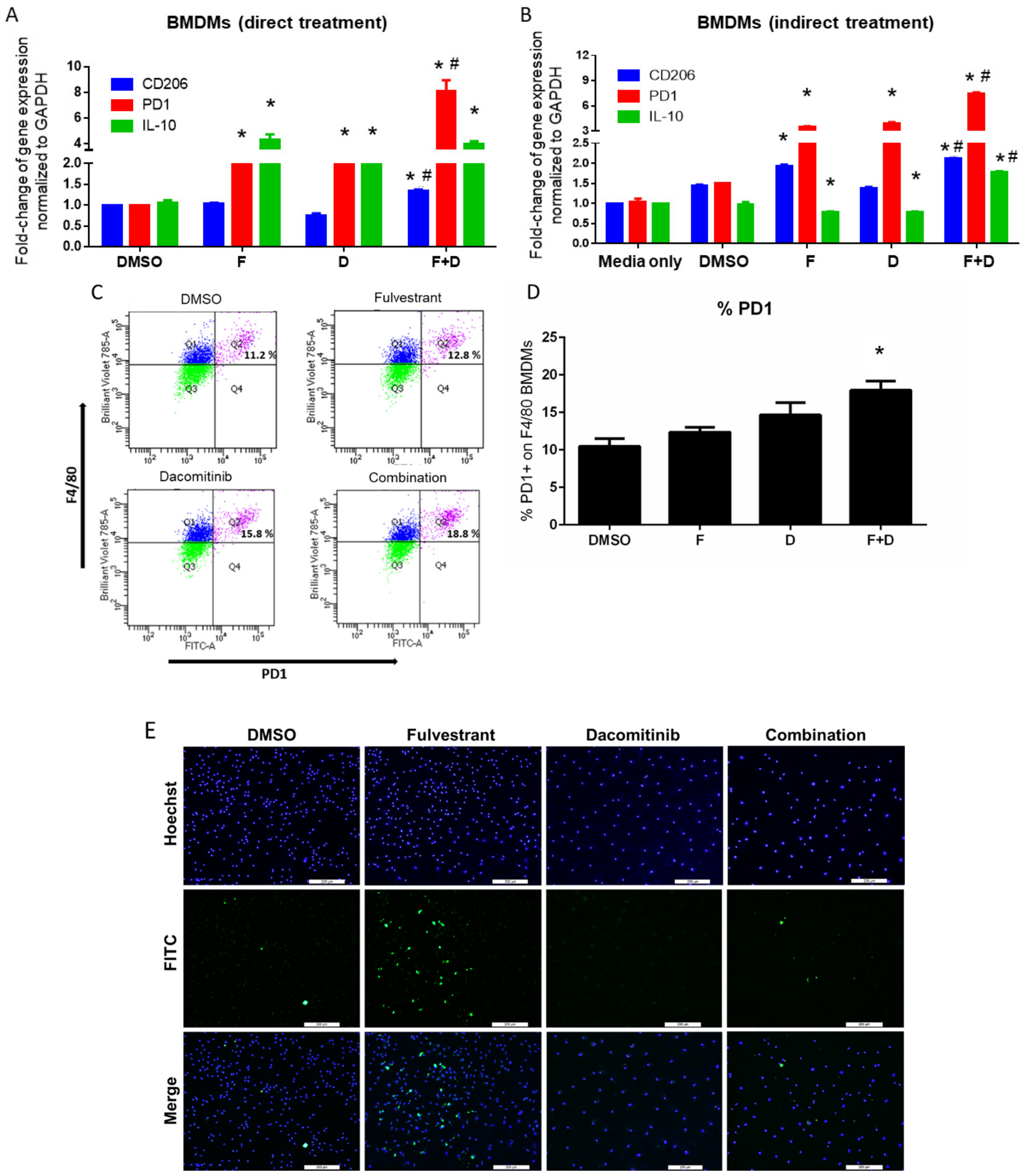 Ijms 23 00081 g002a Ijms 23 00081 g002a