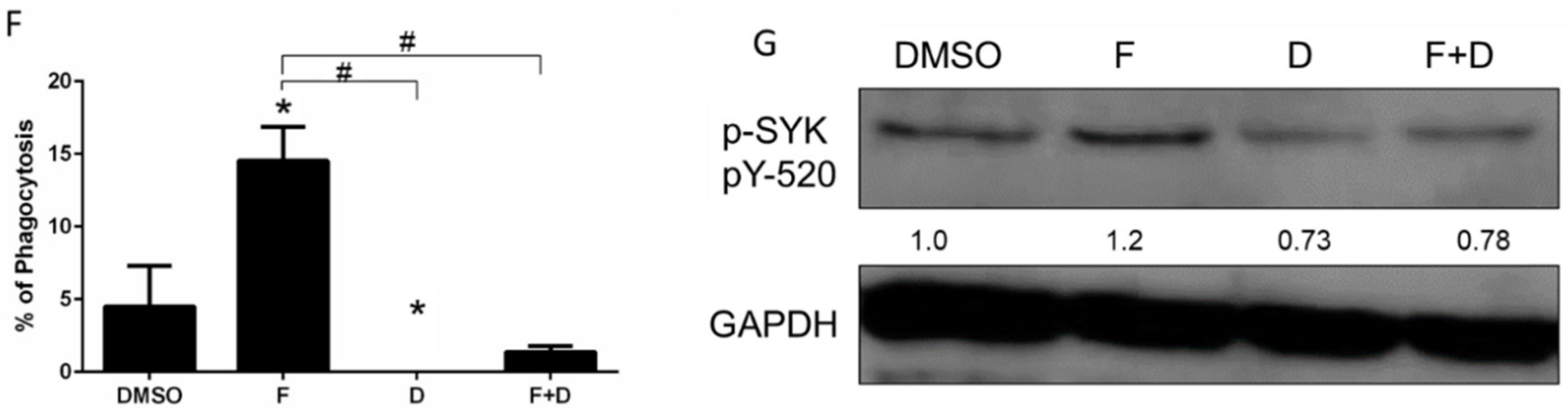 Ijms 23 00081 g002b Ijms 23 00081 g002b