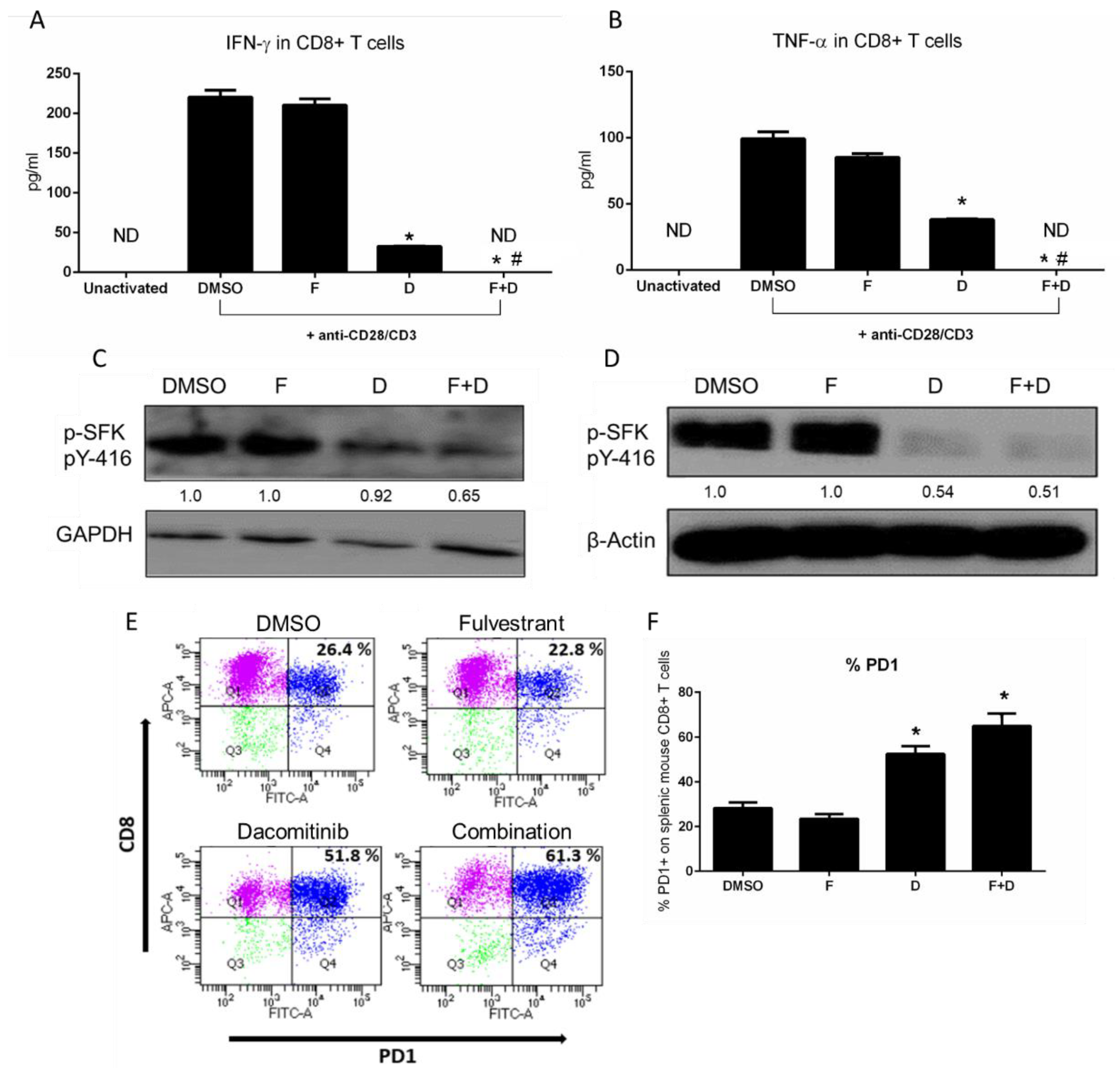 Ijms 23 00081 g003 Ijms 23 00081 g003