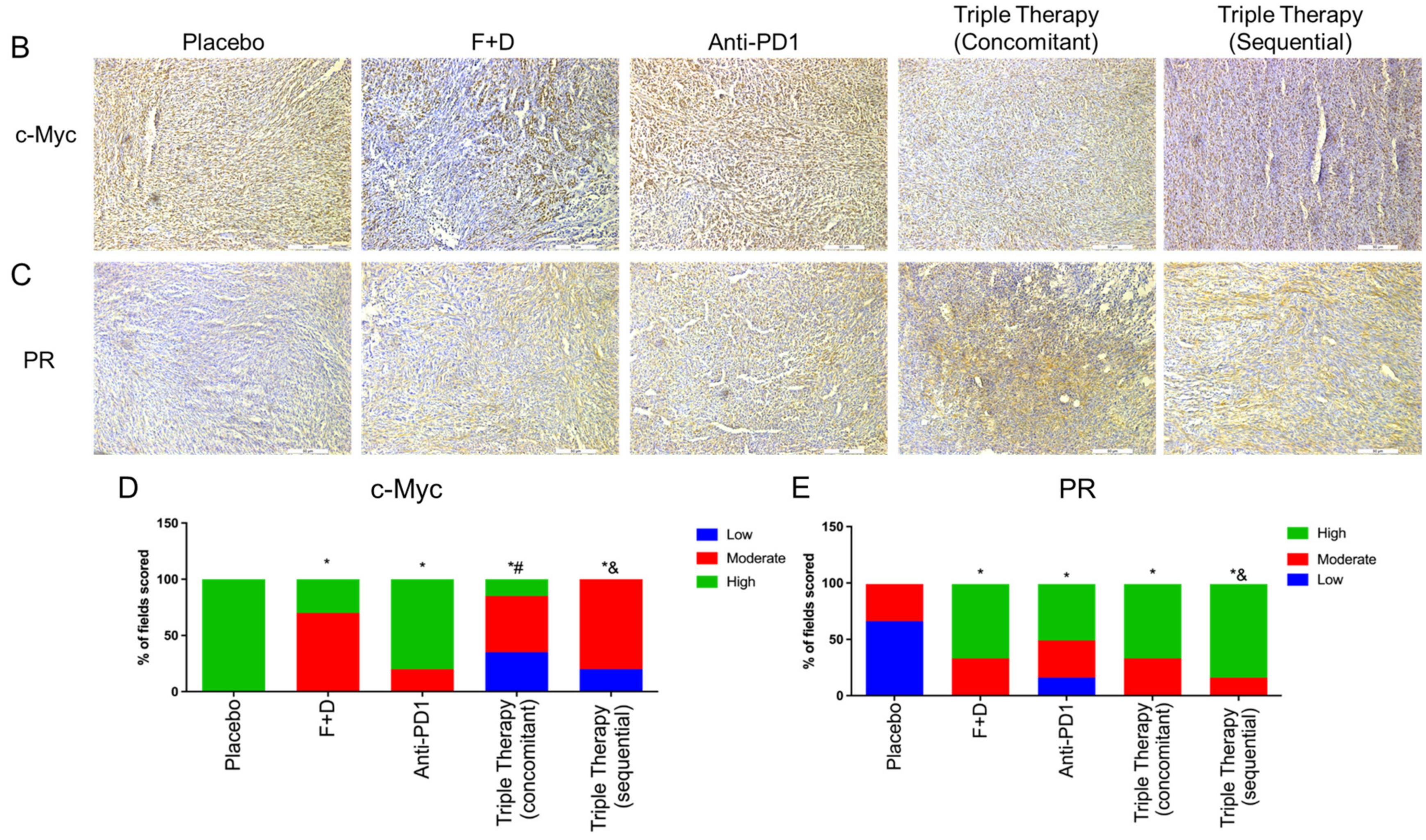 Ijms 23 00081 g005b Ijms 23 00081 g005b