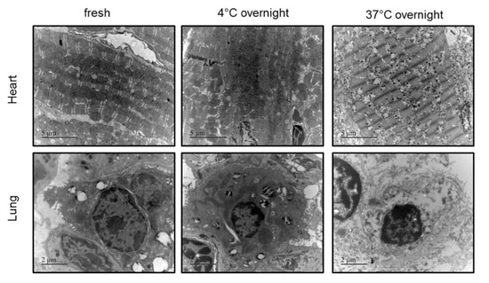 Ijms 23 00109 g0a4 550