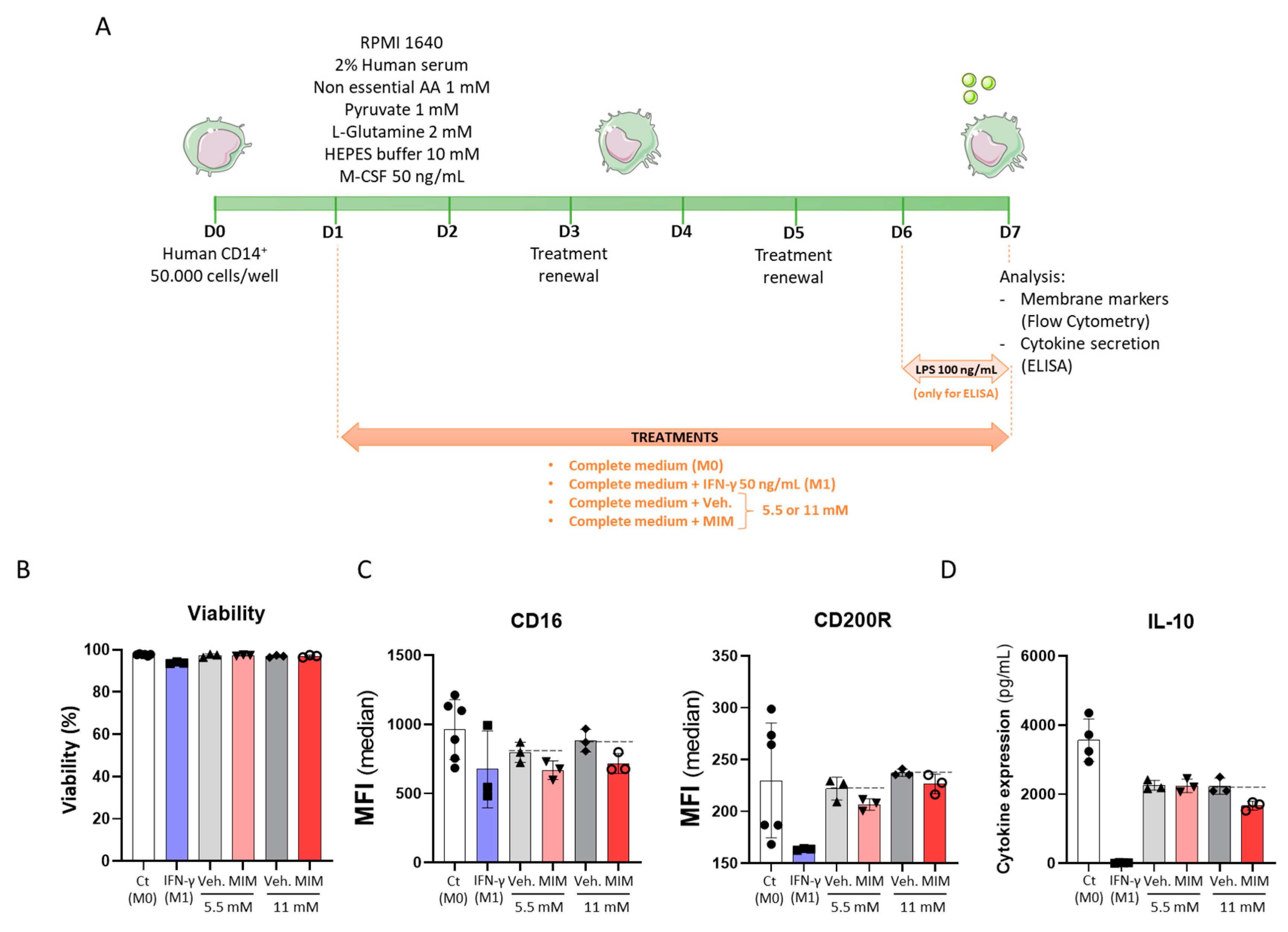 Ijms 23 00110 g002 Ijms 23 00110 g002