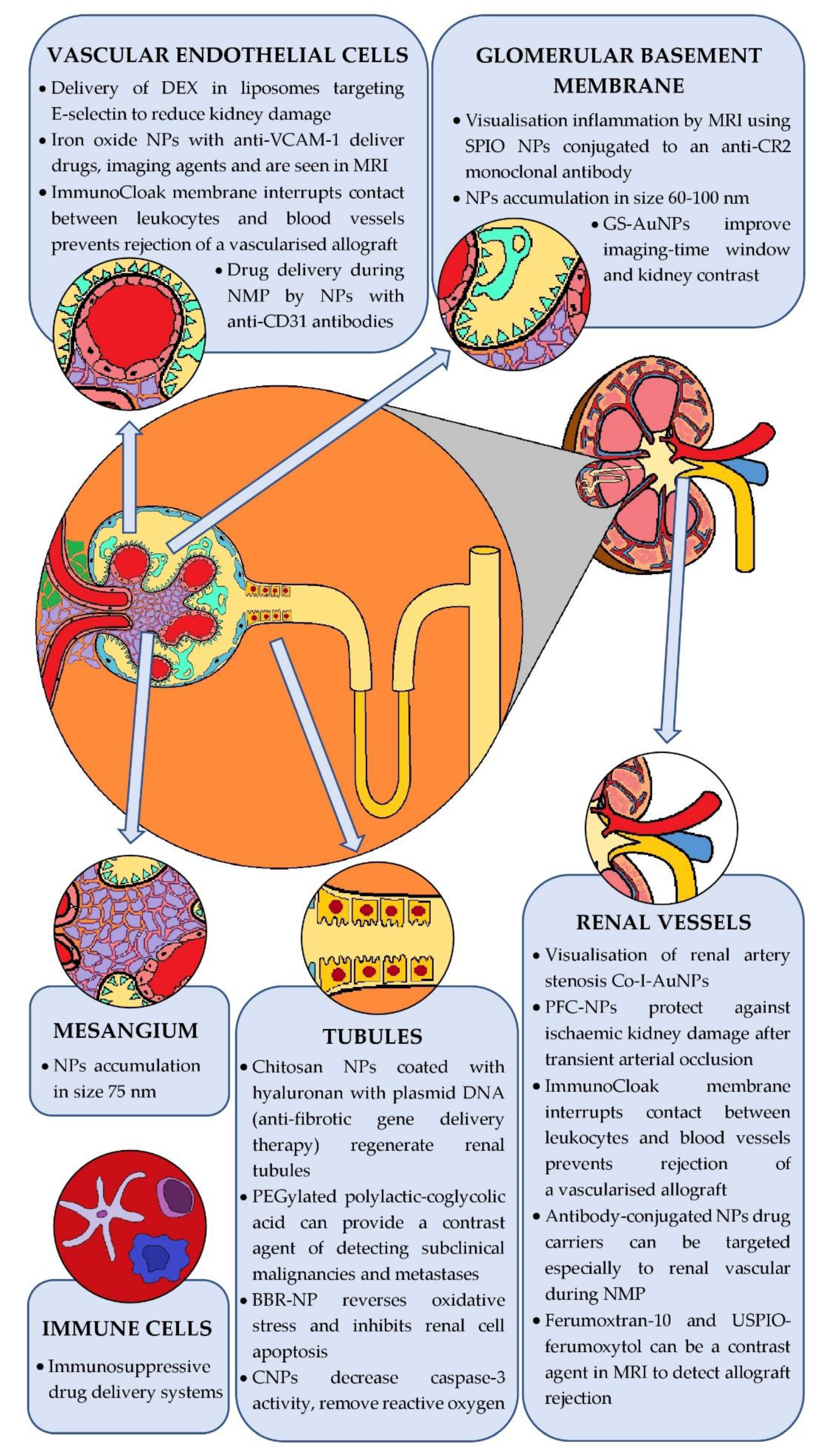Ijms 23 00131 g005 Ijms 23 00131 g005