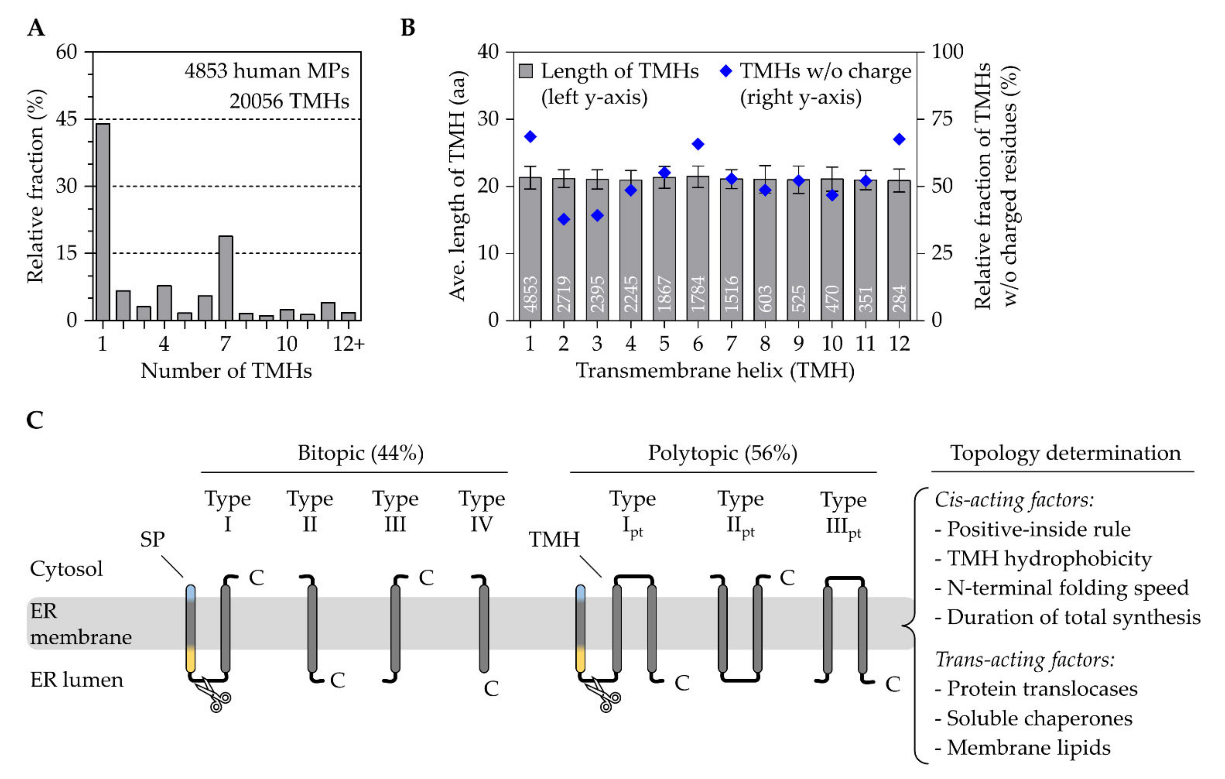 Ijms 23 00143 g002 Ijms 23 00143 g002