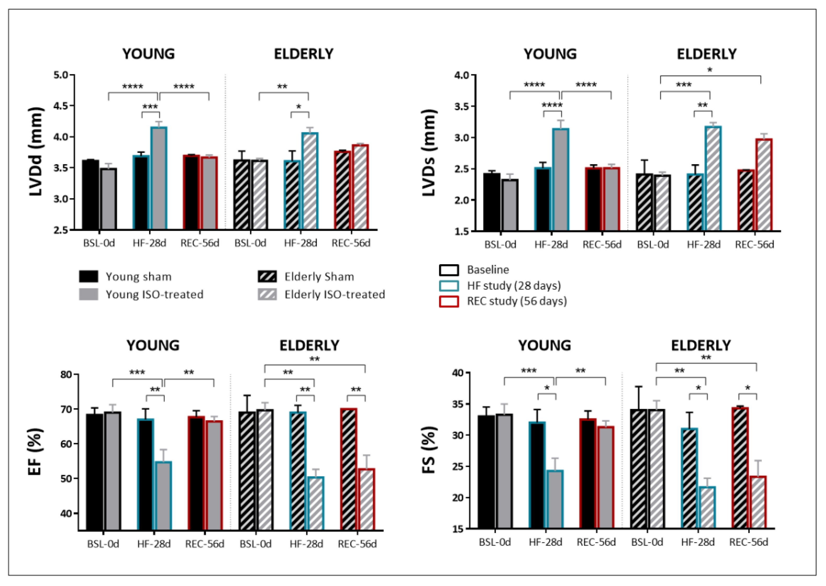 Ijms 23 00174 g003 Ijms 23 00174 g003