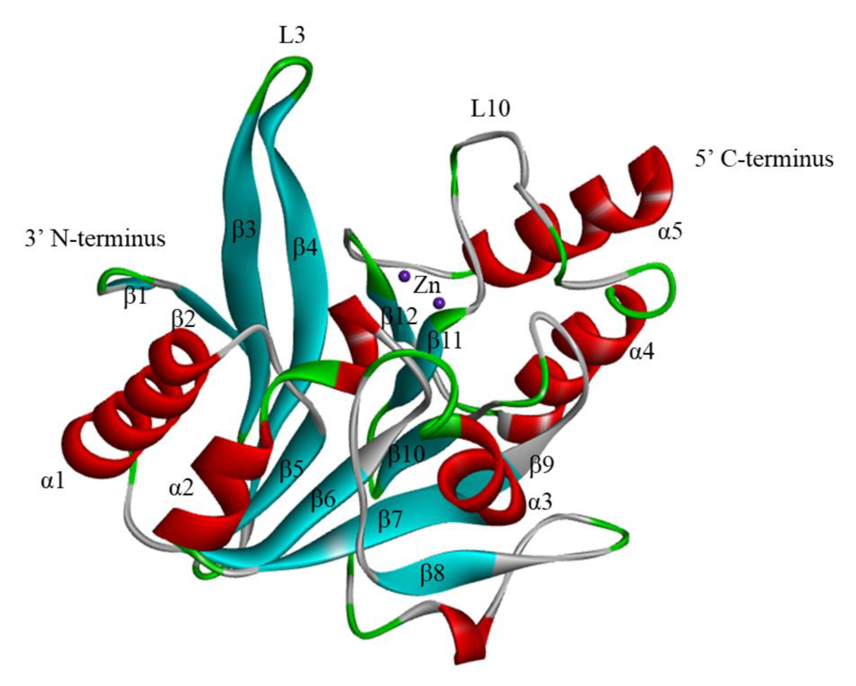 Ijms 23 00197 g001