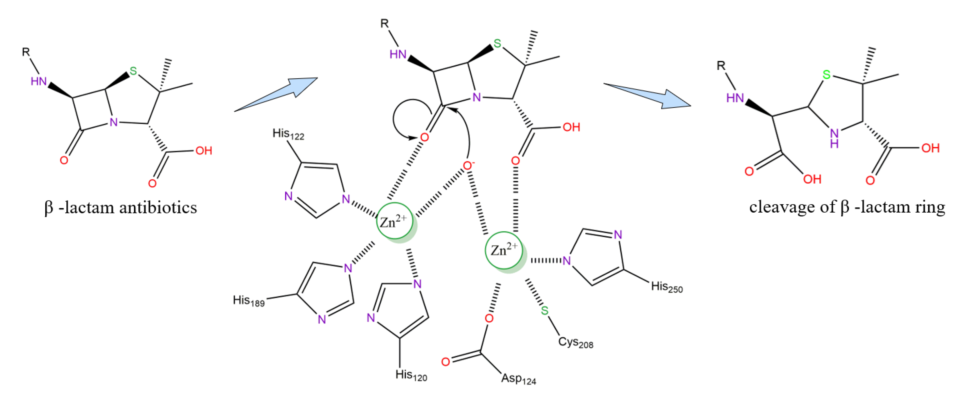 Ijms 23 00197 g004