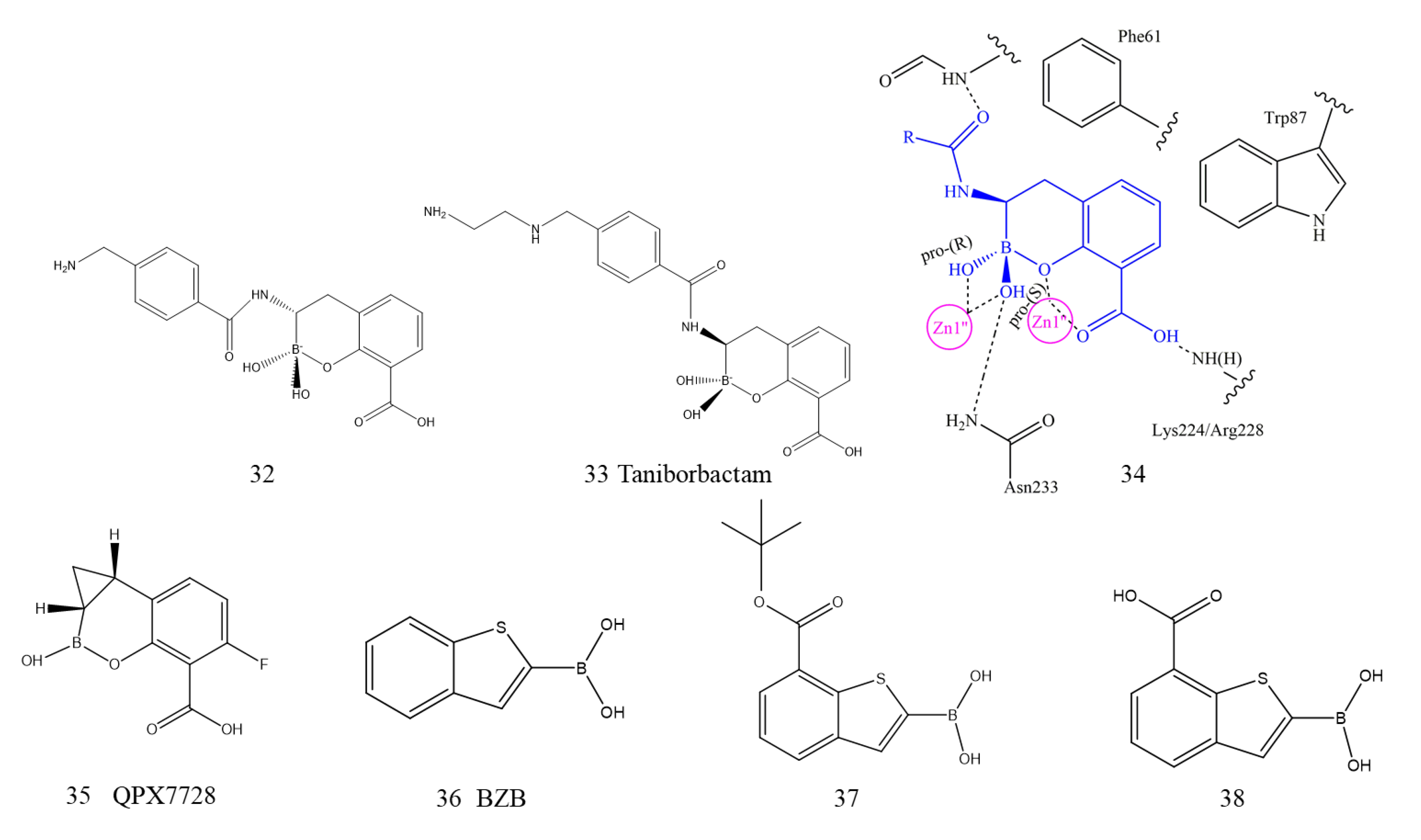 Ijms 23 00197 g012