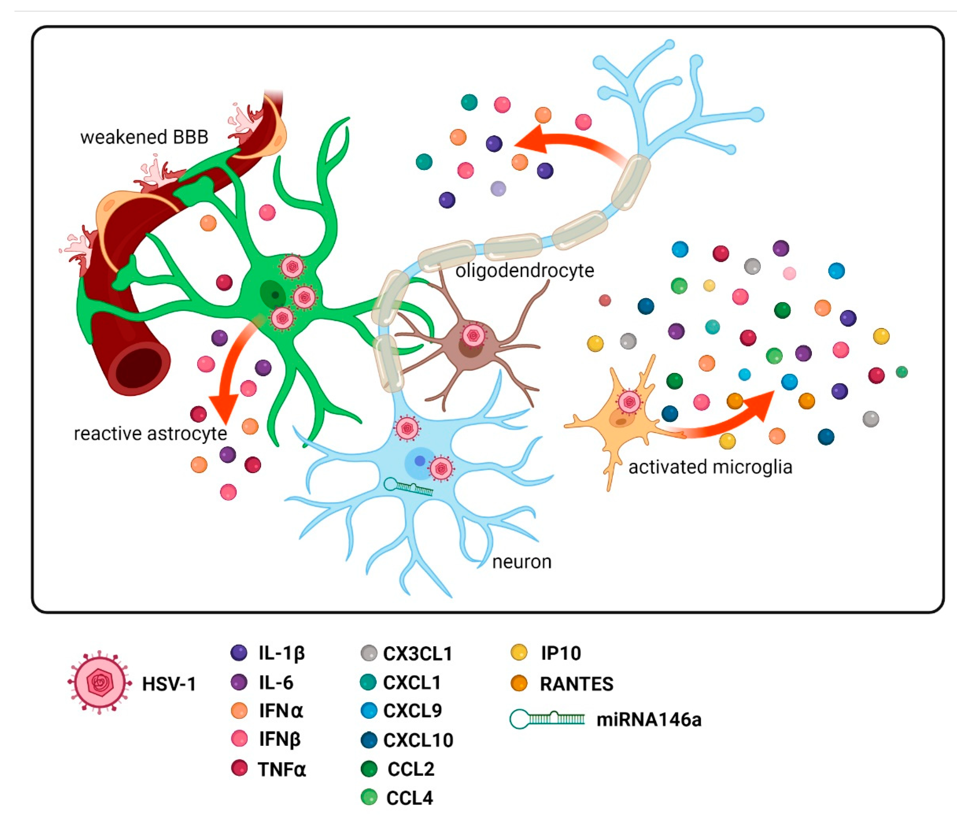 Ijms 23 00242 g002 Ijms 23 00242 g002