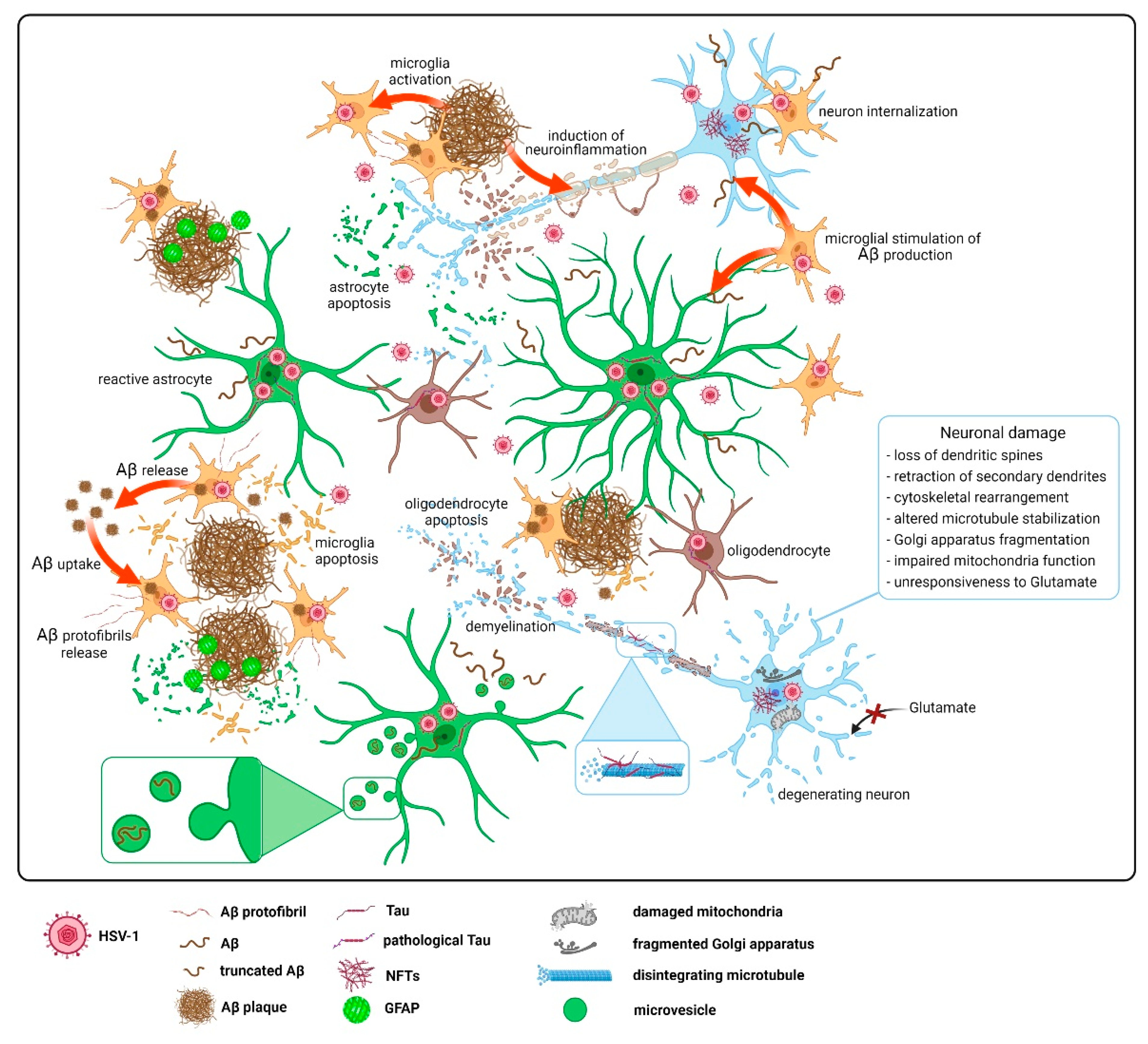 Ijms 23 00242 g004 Ijms 23 00242 g004