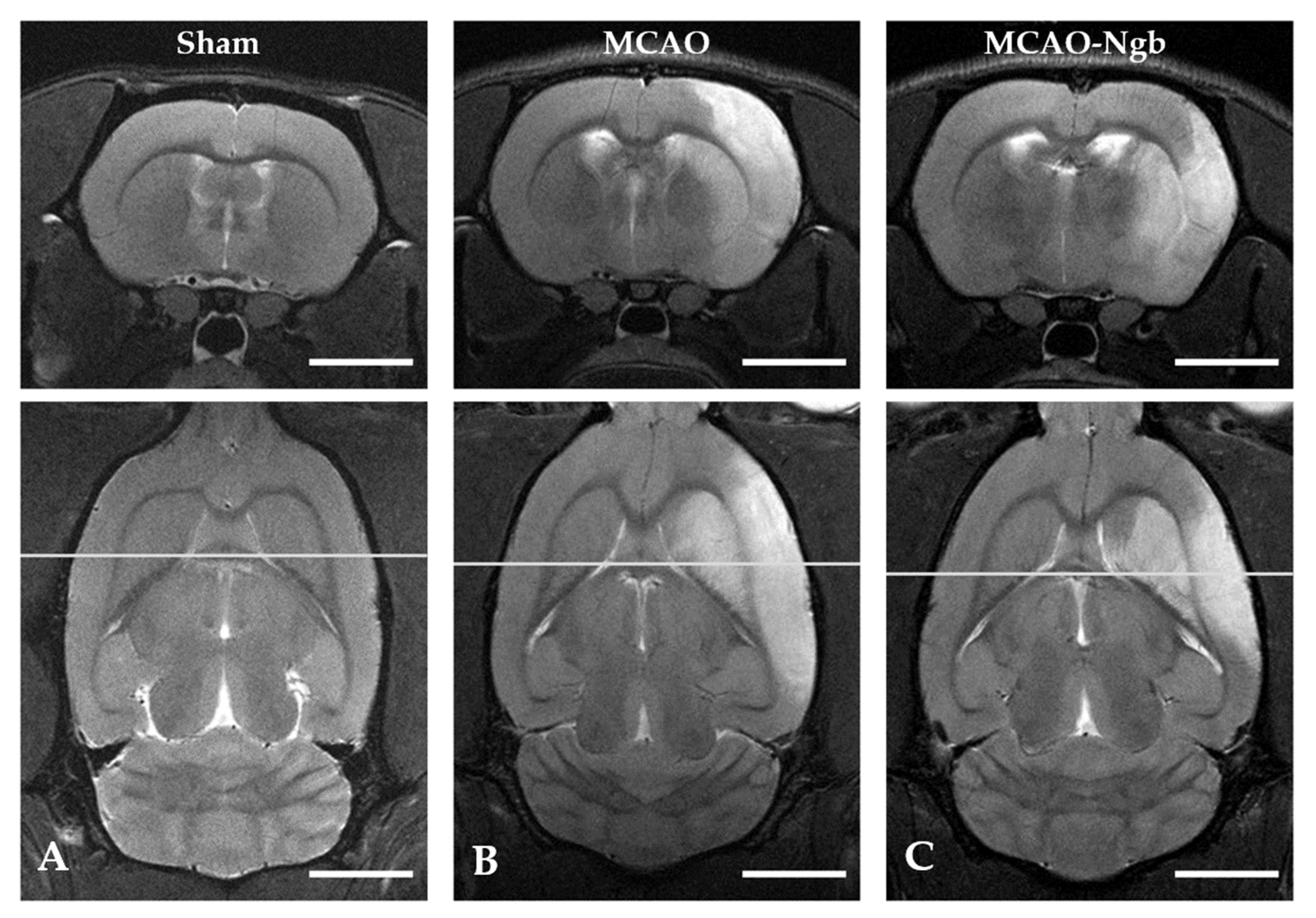 Ijms 23 00247 g006