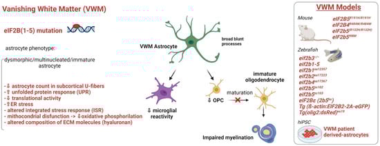 Ijms 23 00274 g004 550