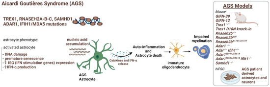 Ijms 23 00274 g005 550