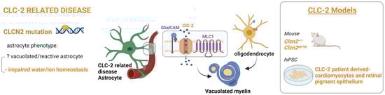 Ijms 23 00274 g006 550