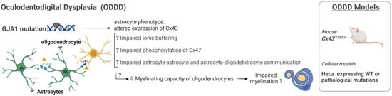 Ijms 23 00274 g007 550