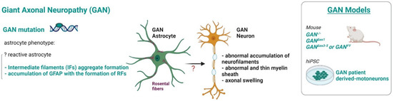 Ijms 23 00274 g008 550