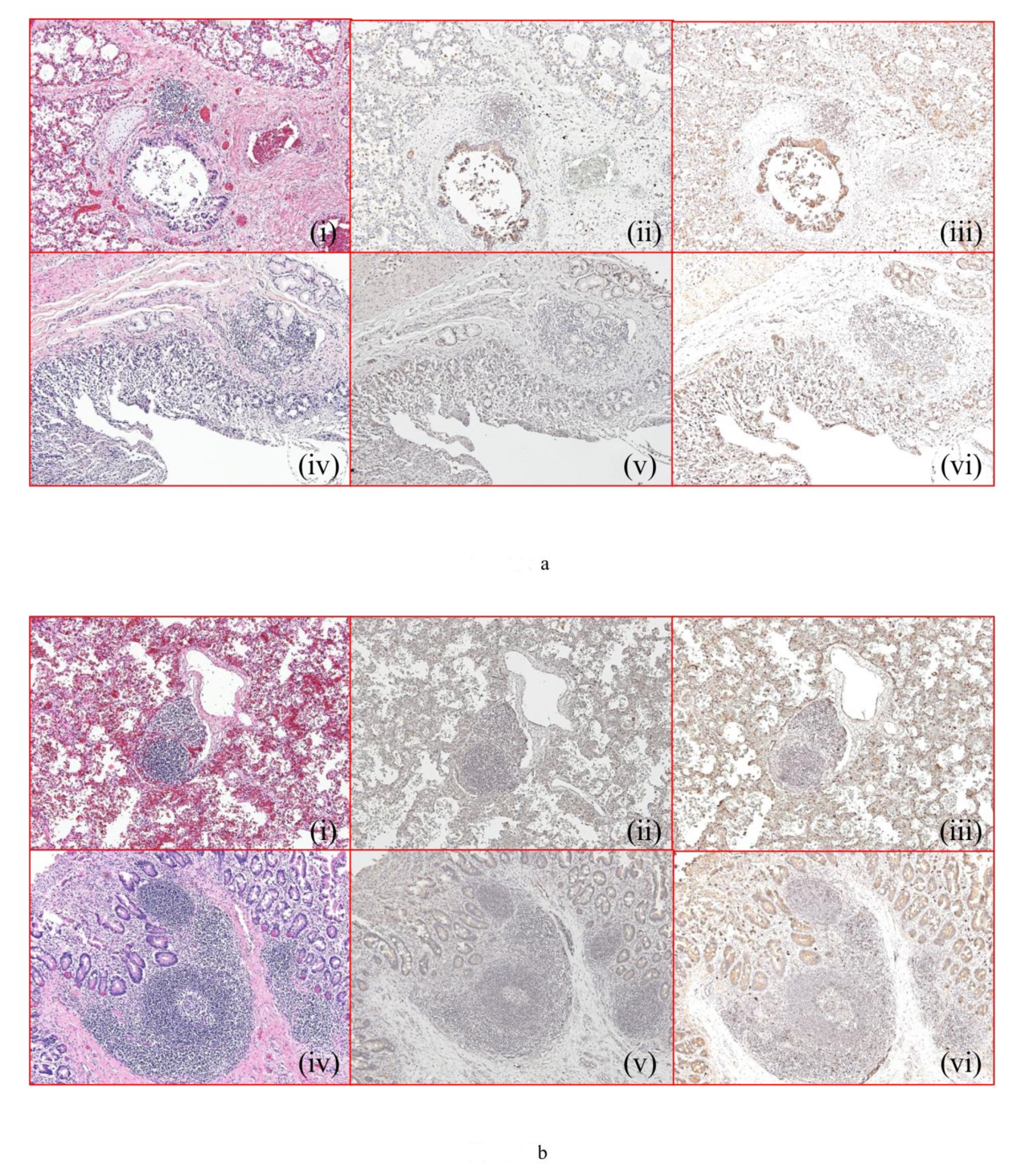 Ijms 23 00318 g002a Ijms 23 00318 g002a