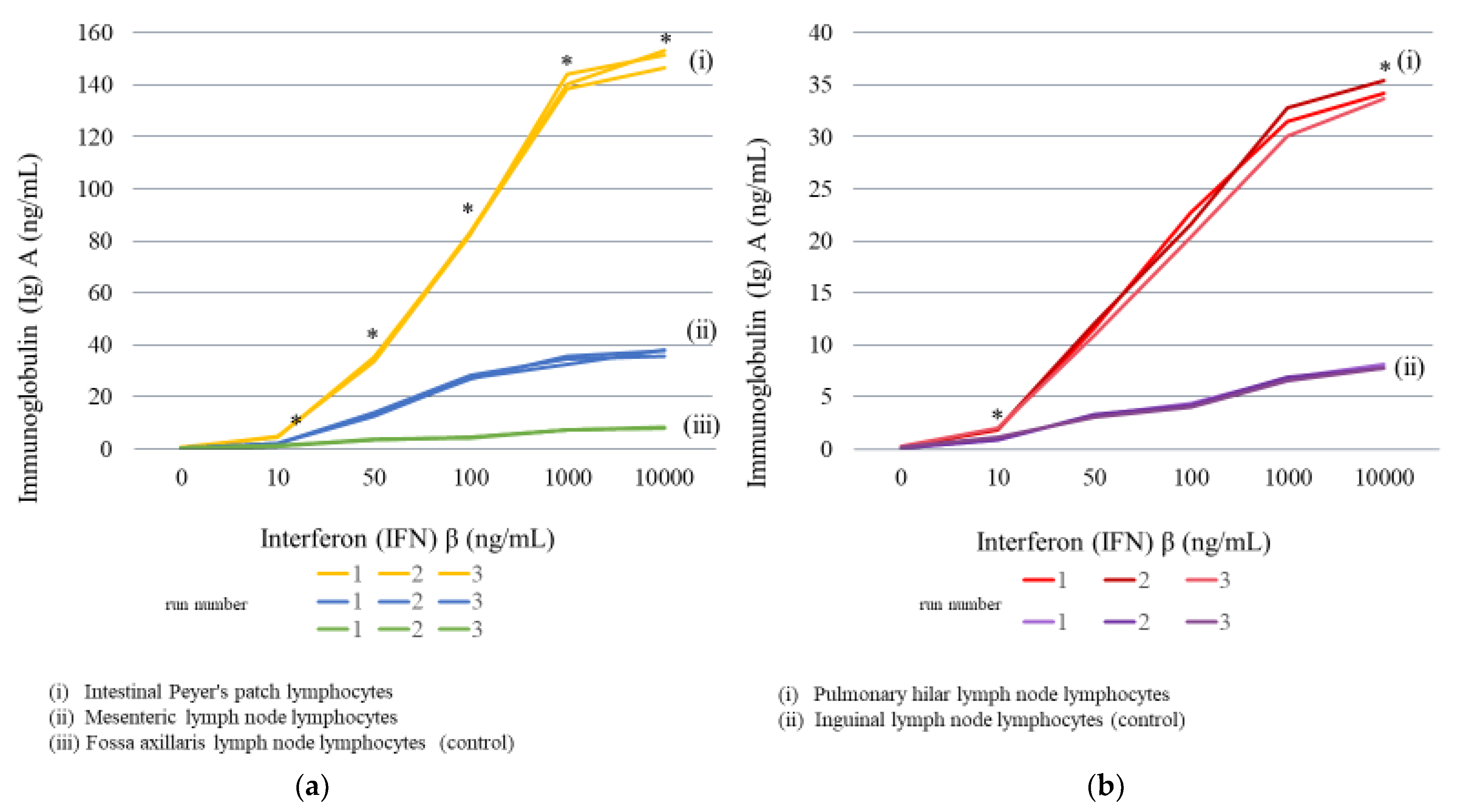 Ijms 23 00318 g004 Ijms 23 00318 g004