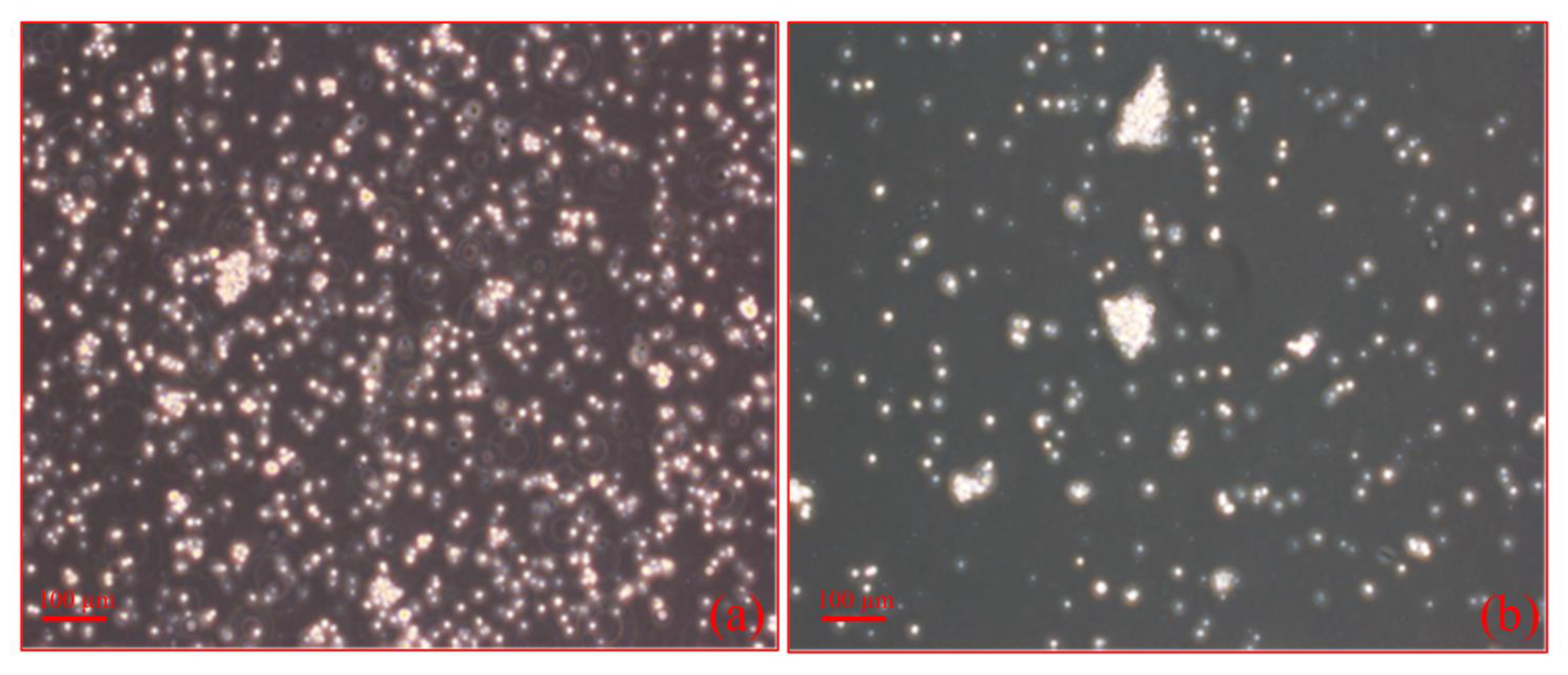 Ijms 23 00318 g005 Ijms 23 00318 g005