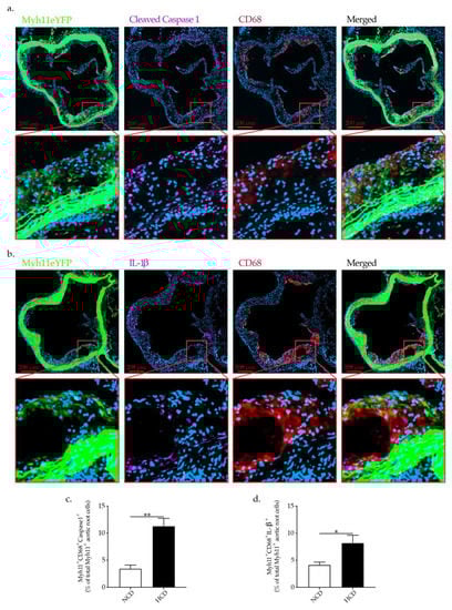 Ijms 23 00340 g007 550