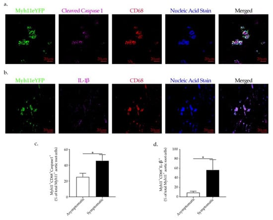 Ijms 23 00340 g008 550