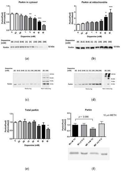 Ijms 23 00363 g007a Ijms 23 00363 g007a