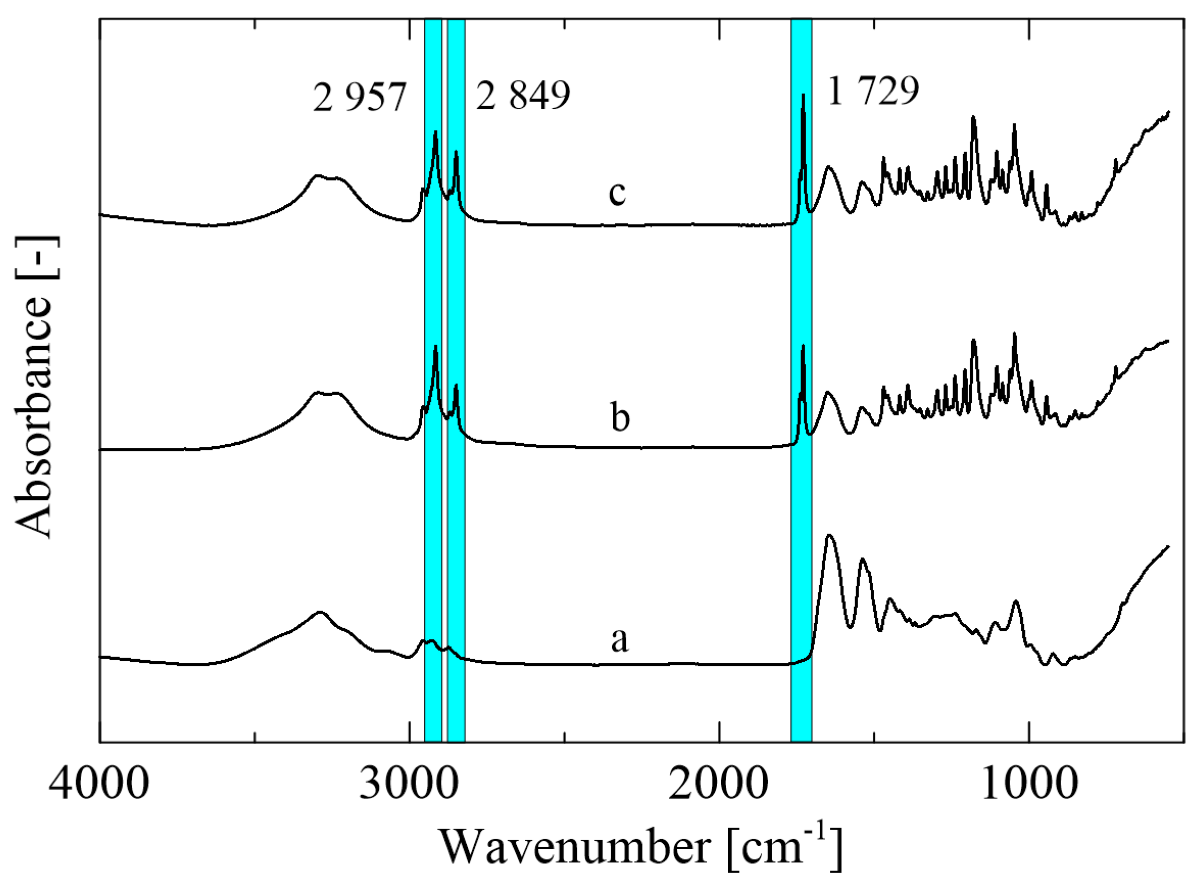 Ijms 23 00384 g003 Ijms 23 00384 g003