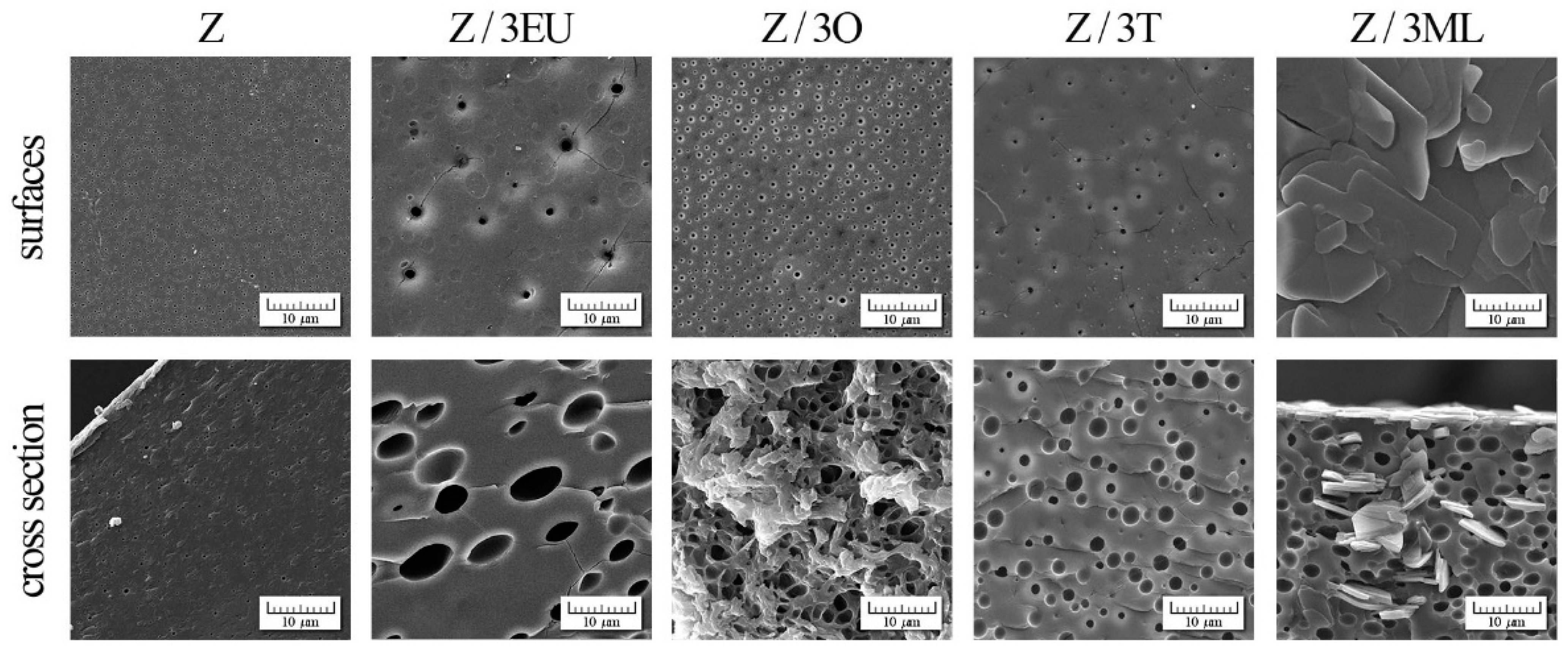 Ijms 23 00384 g005 Ijms 23 00384 g005