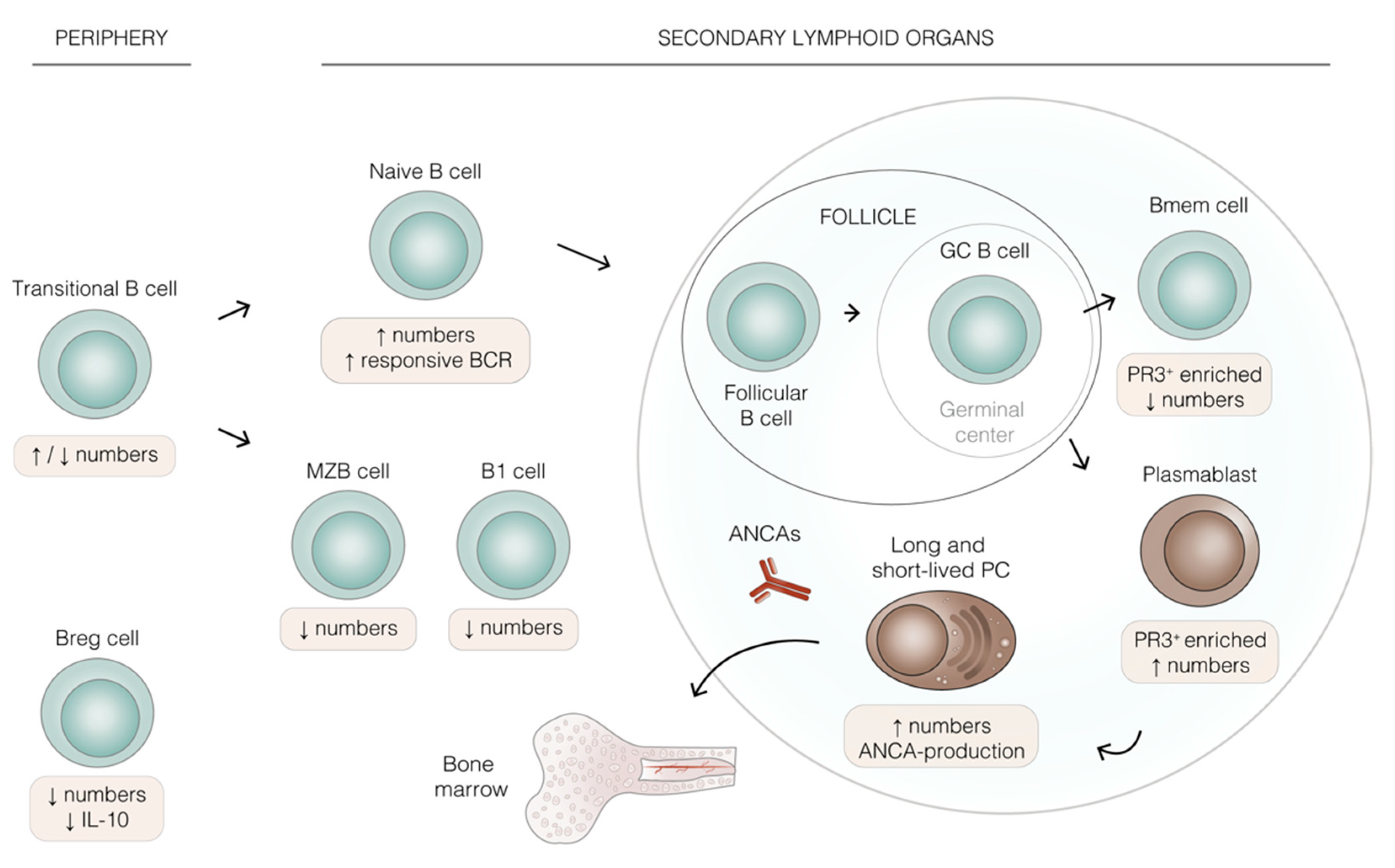 Ijms 23 00387 g001 Ijms 23 00387 g001