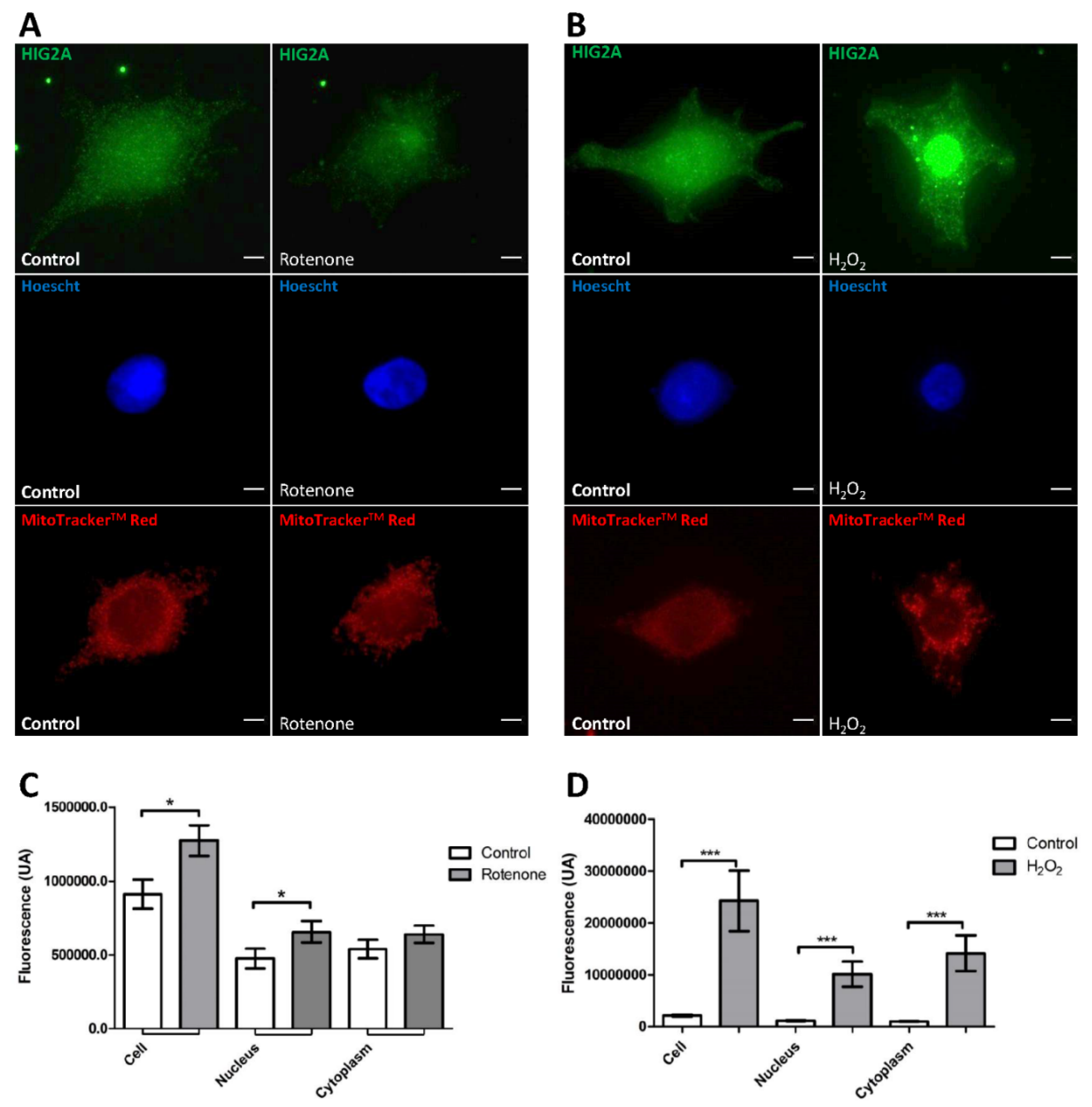 Ijms 23 00389 g001 Ijms 23 00389 g001