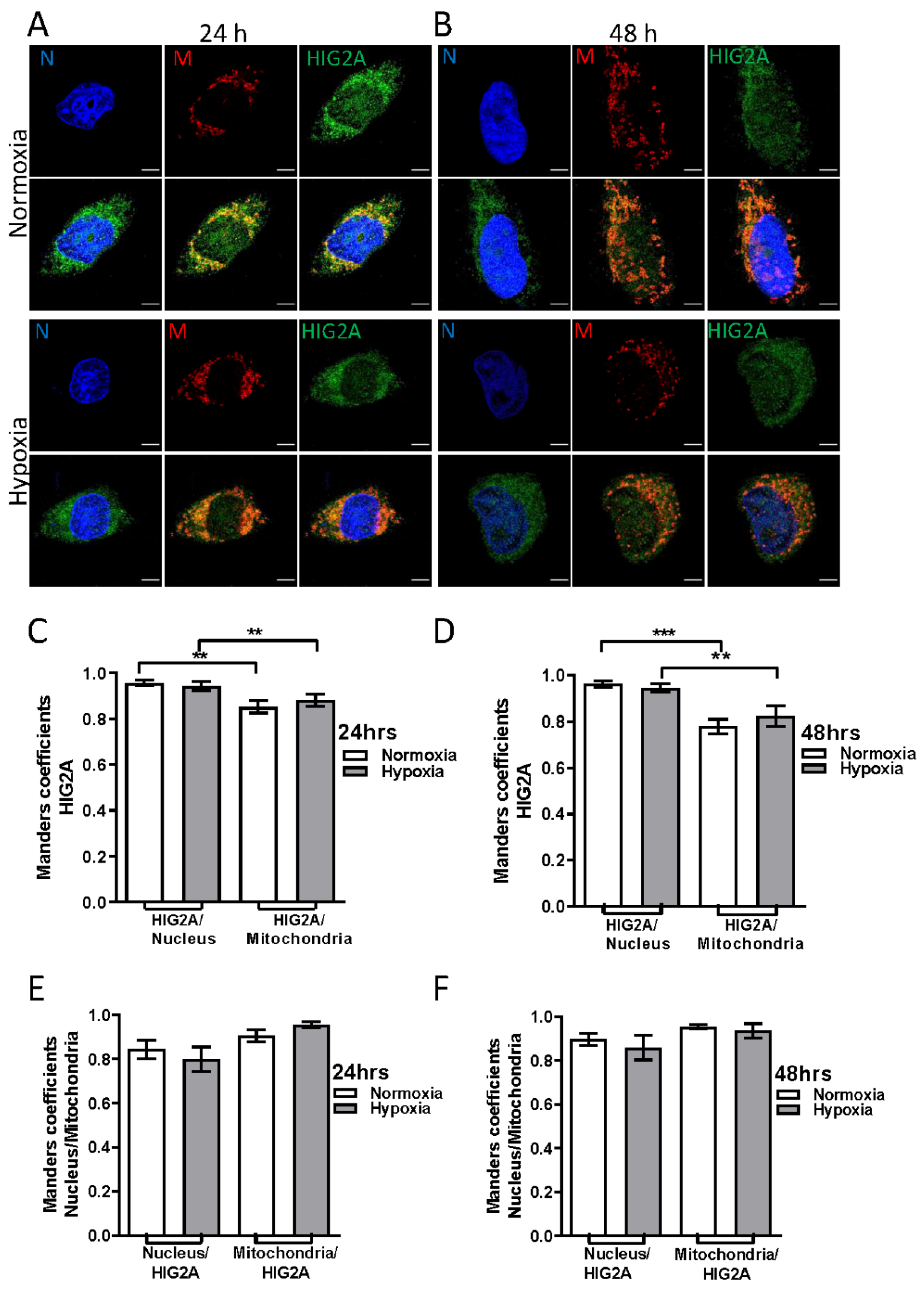 Ijms 23 00389 g002 Ijms 23 00389 g002