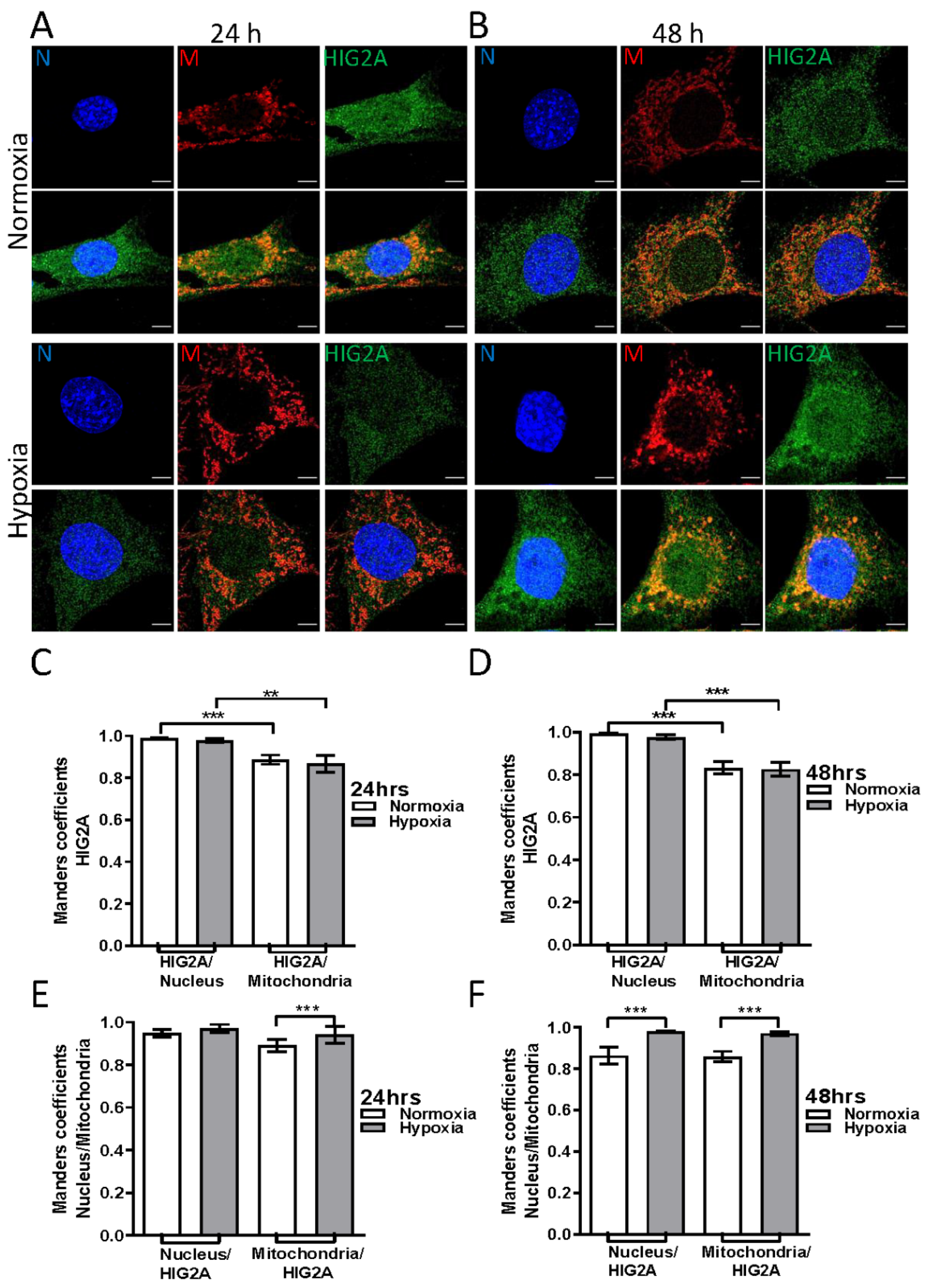 Ijms 23 00389 g003 Ijms 23 00389 g003