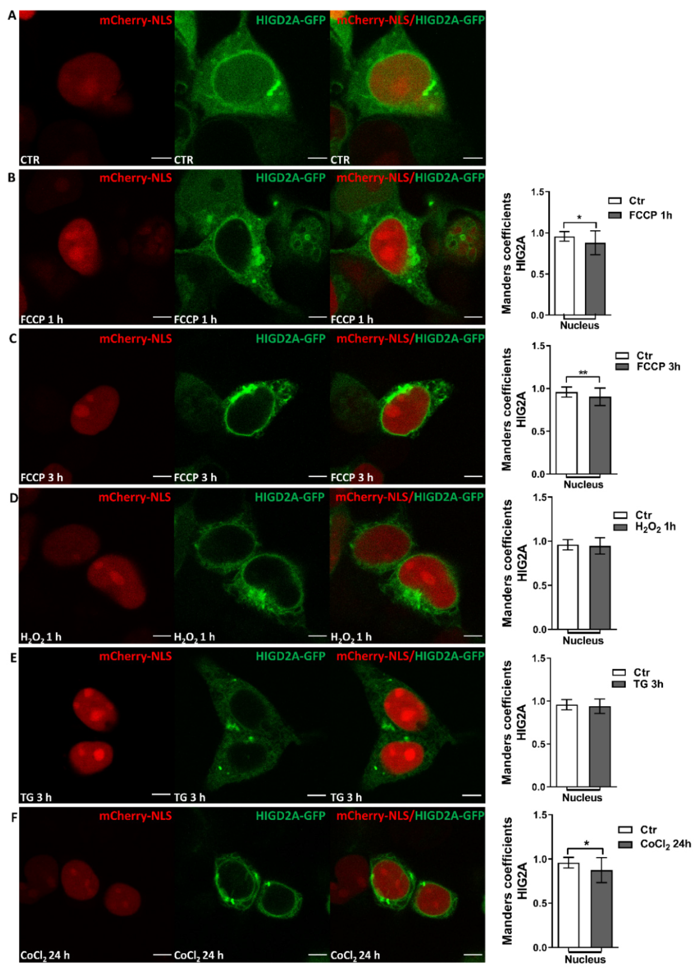 Ijms 23 00389 g004 Ijms 23 00389 g004
