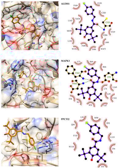 Ijms 23 00419 g002 550