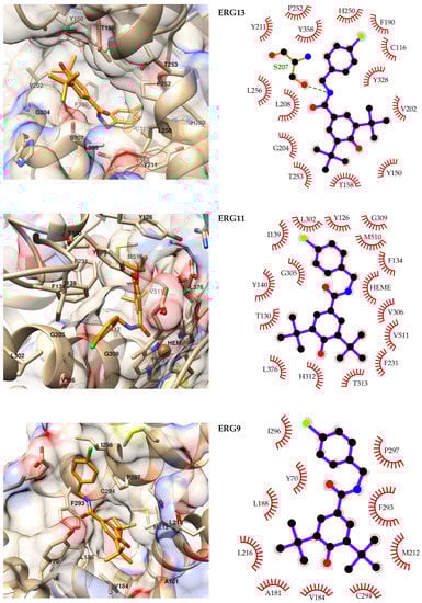 Ijms 23 00419 g003 550