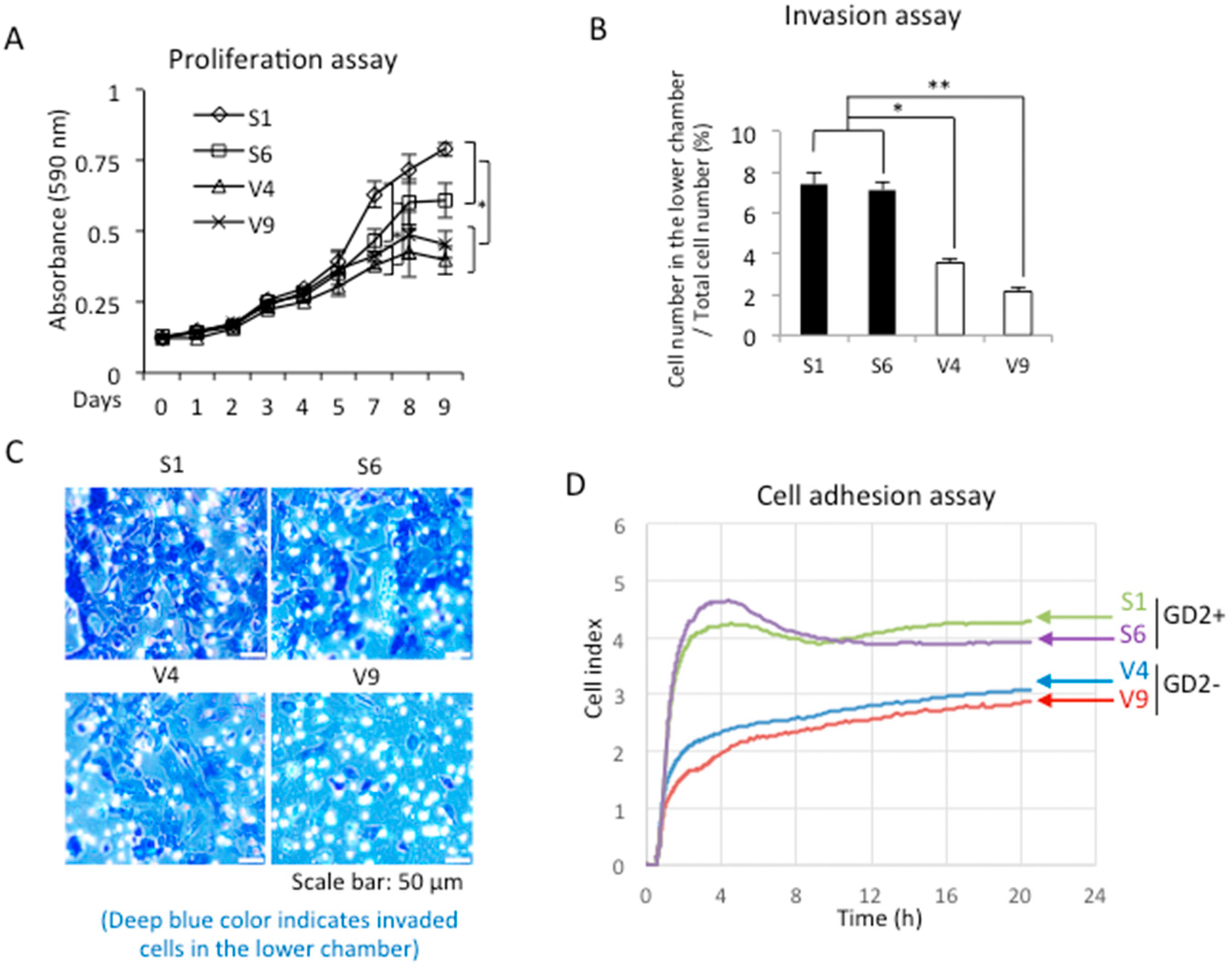 Ijms 23 00423 g002 Ijms 23 00423 g002
