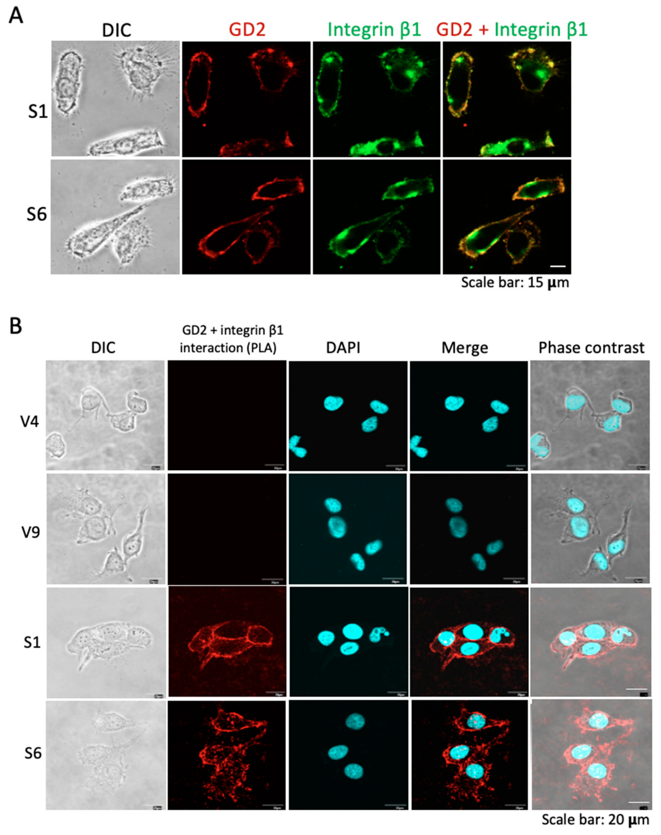 Ijms 23 00423 g006 Ijms 23 00423 g006