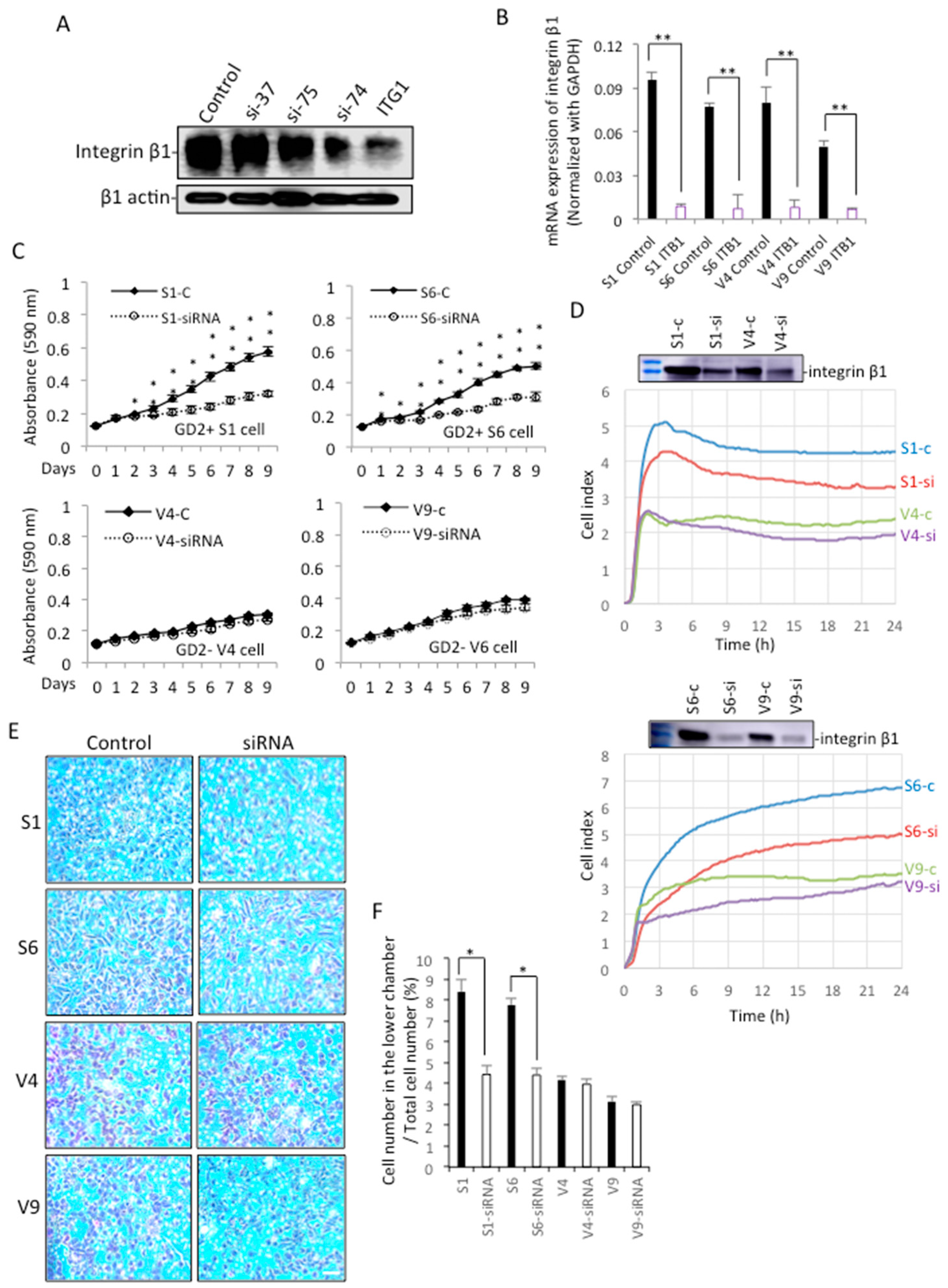 Ijms 23 00423 g008 Ijms 23 00423 g008