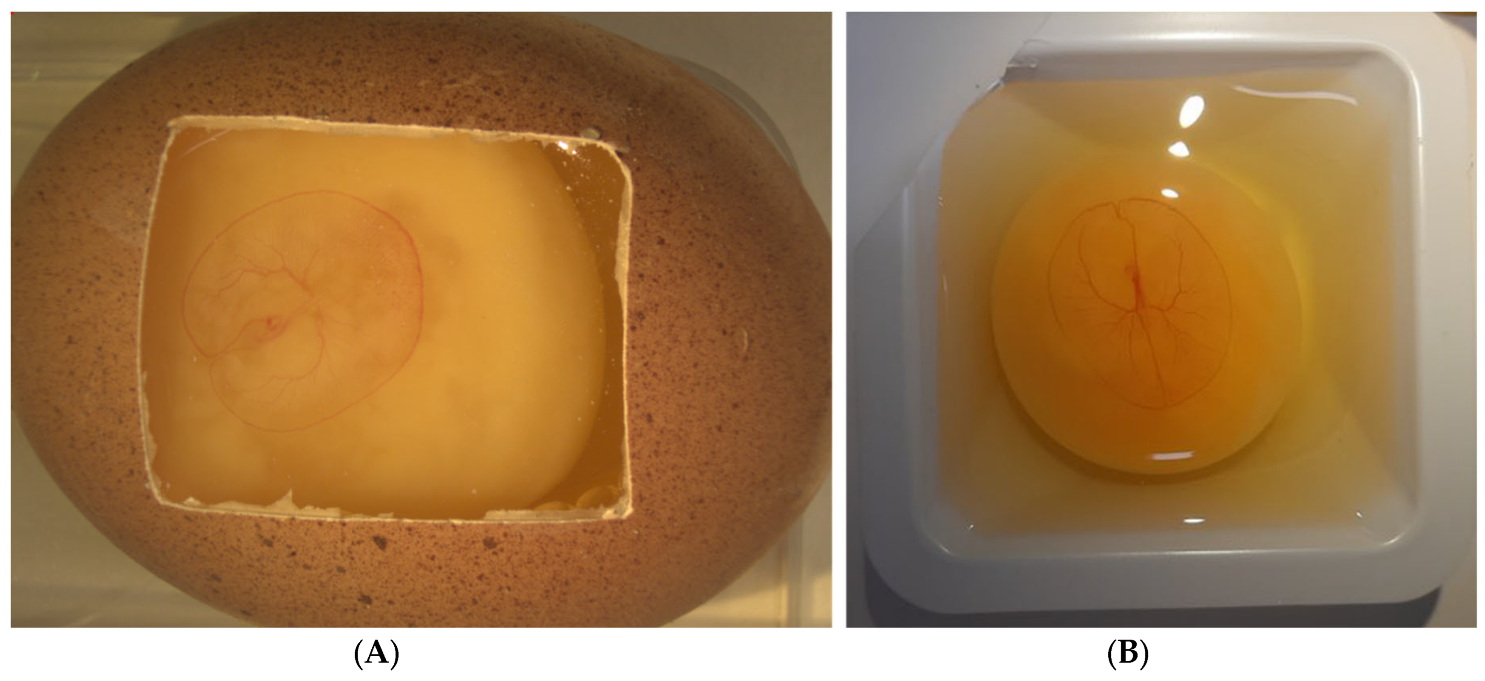 Ijms 23 00452 g003 Ijms 23 00452 g003