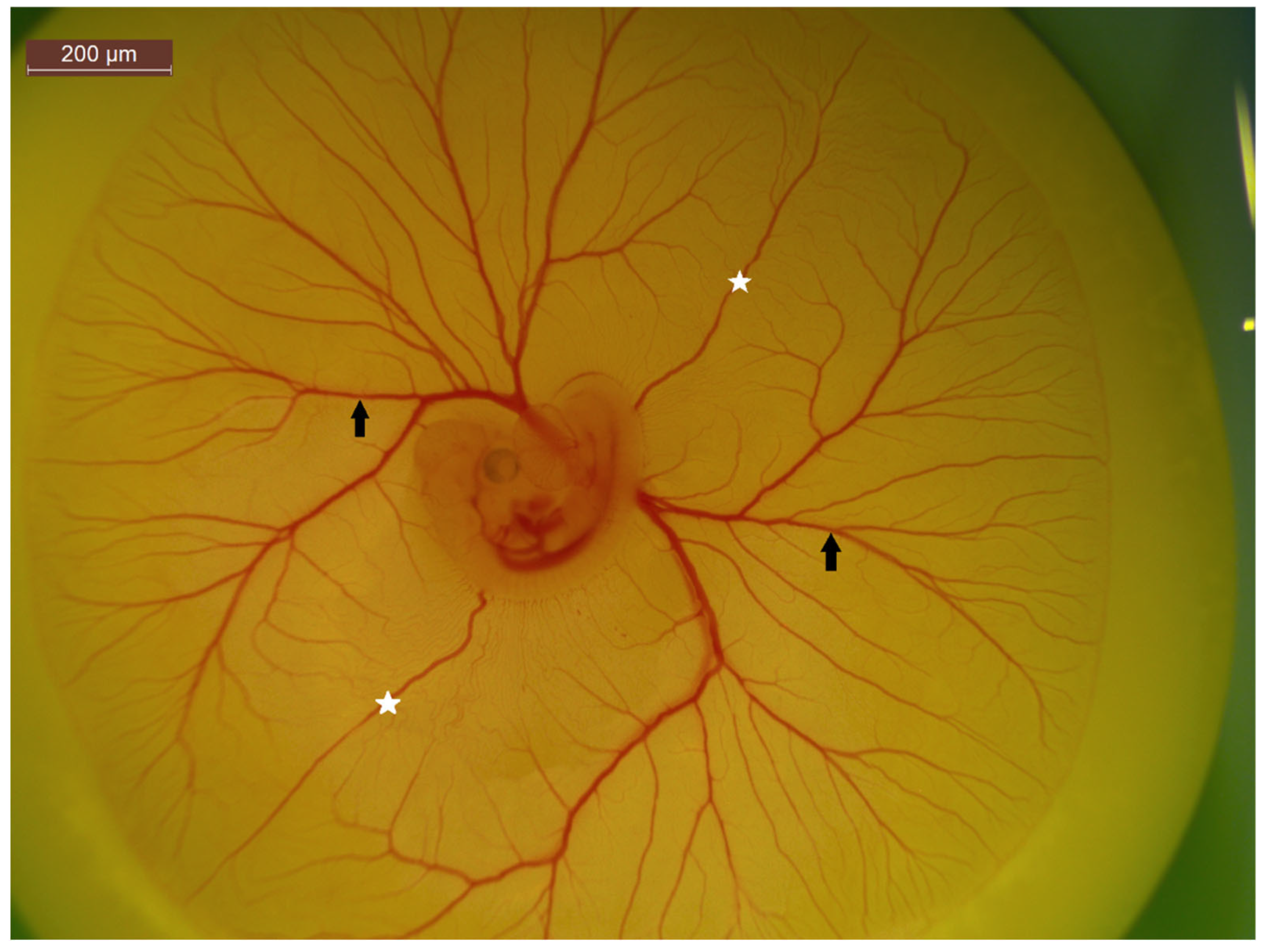 Ijms 23 00452 g004 Ijms 23 00452 g004