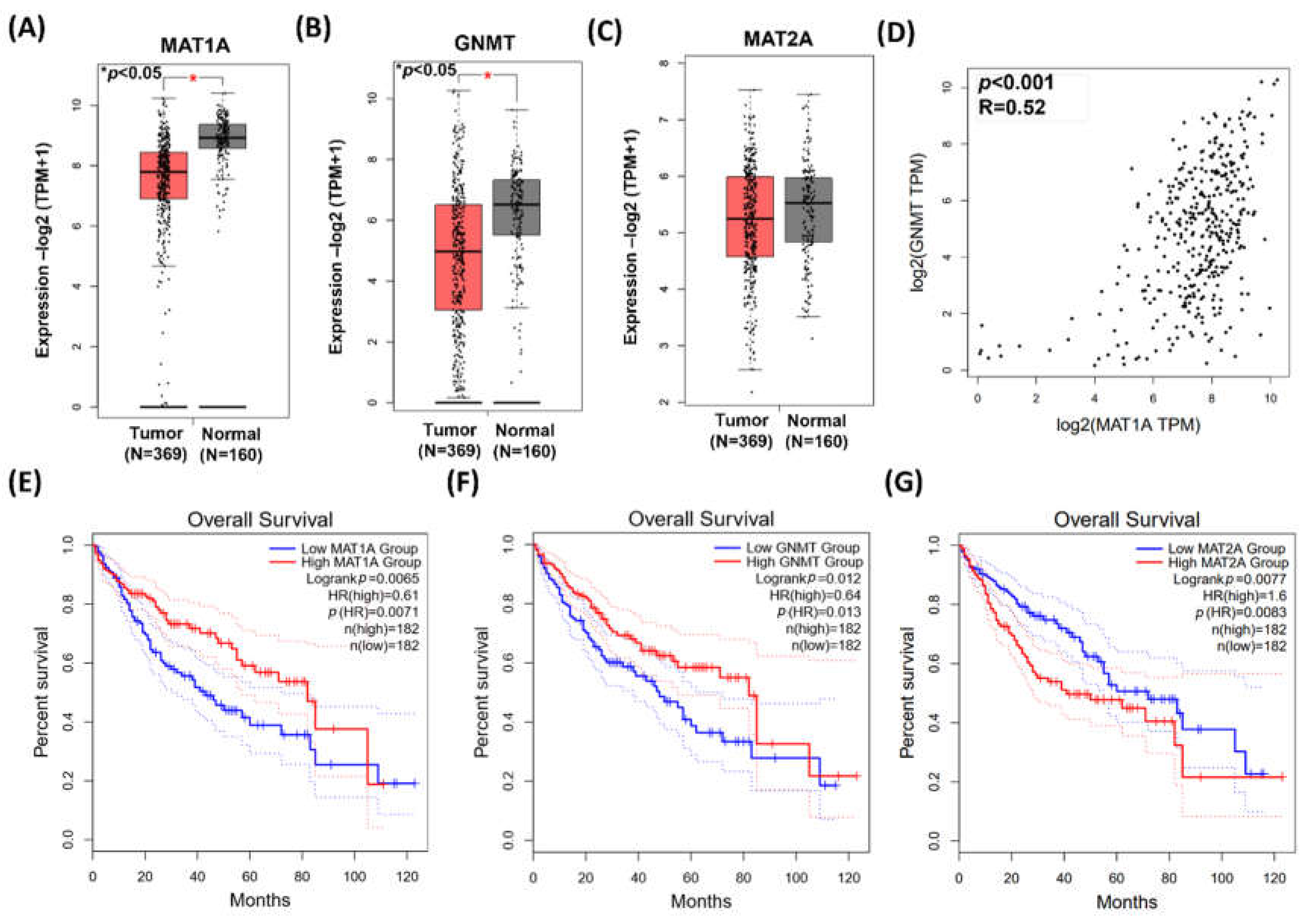 Ijms 23 00481 g001 Ijms 23 00481 g001