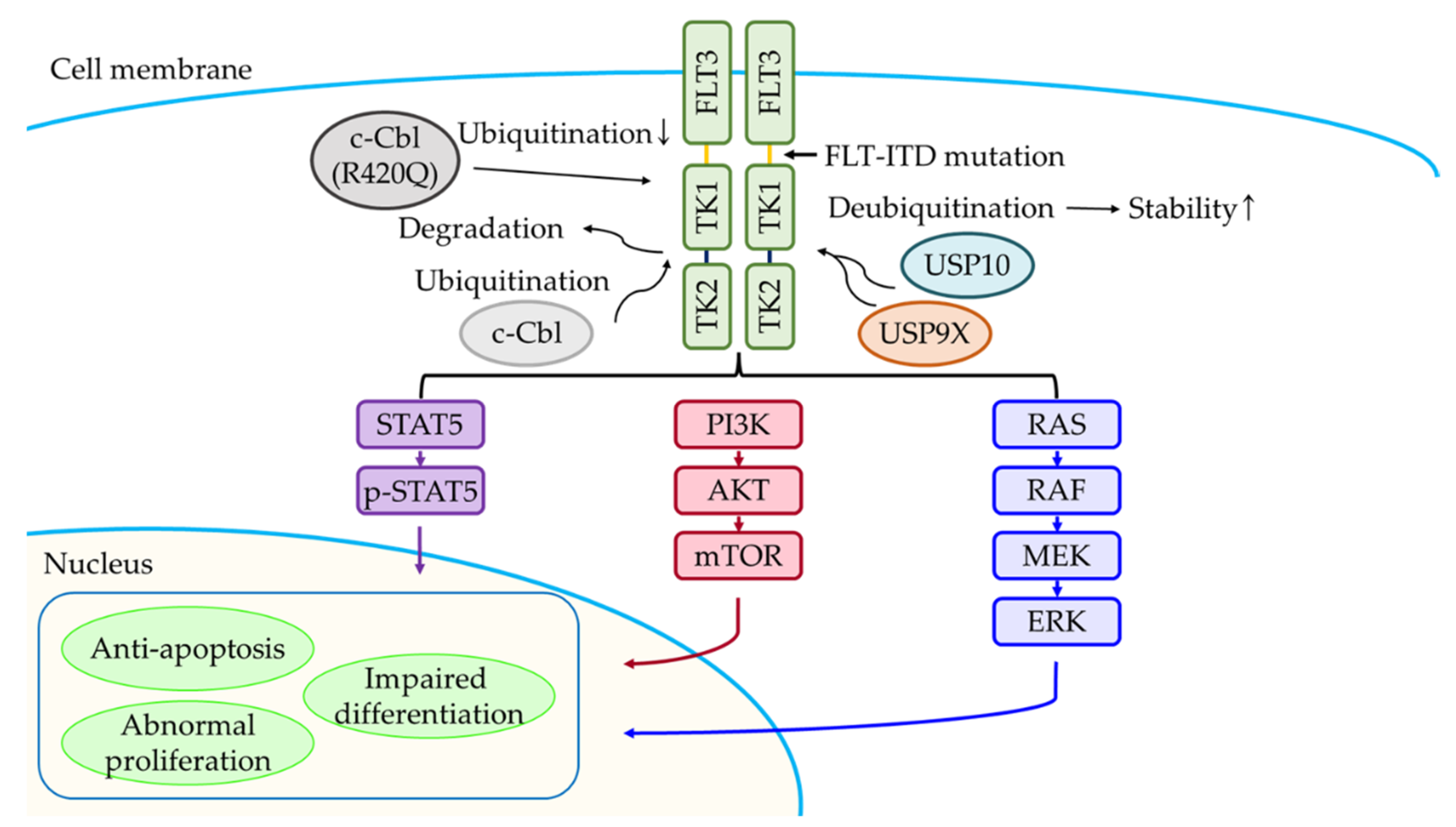 Ijms 23 00514 g002 Ijms 23 00514 g002