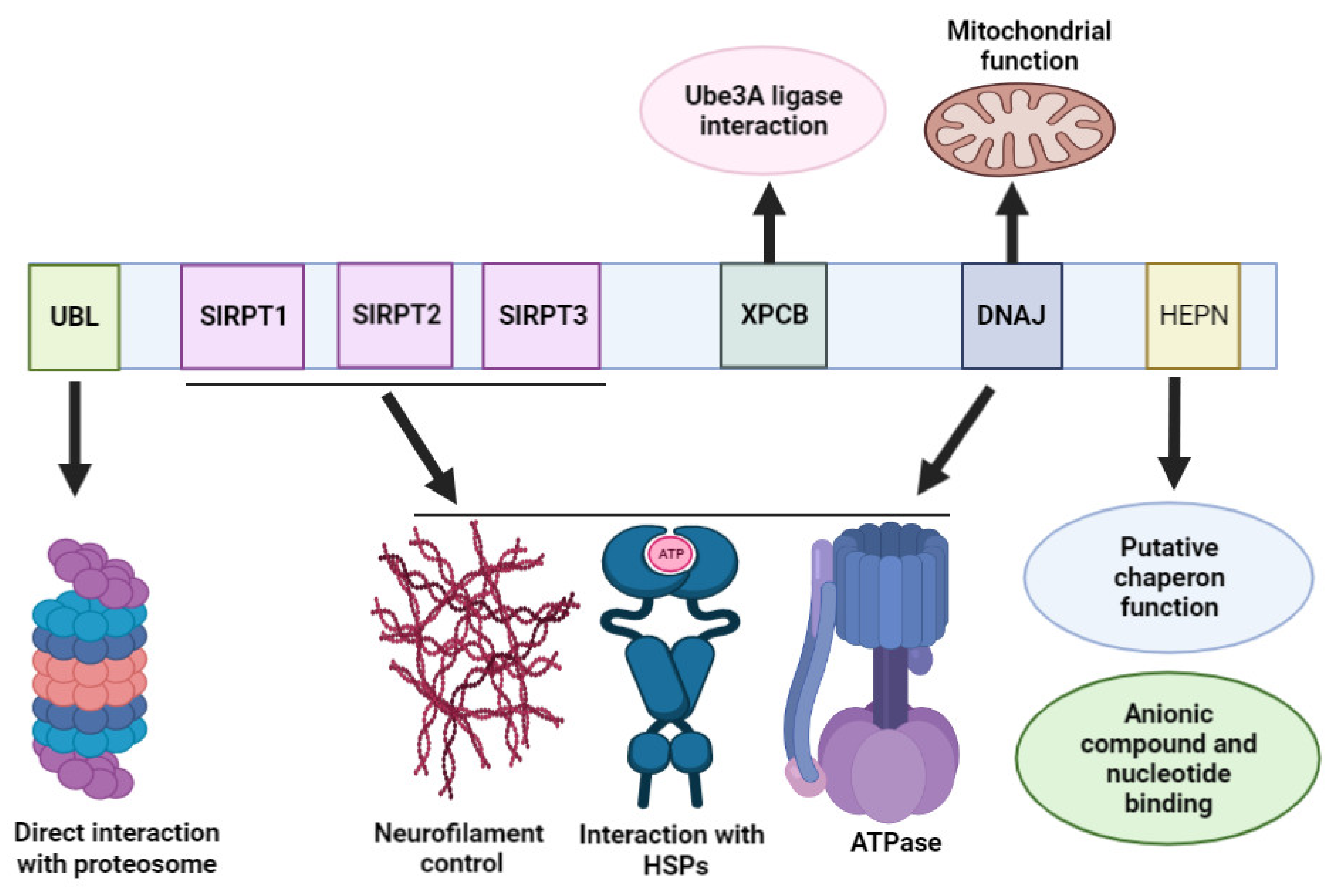 Ijms 23 00552 g001 Ijms 23 00552 g001
