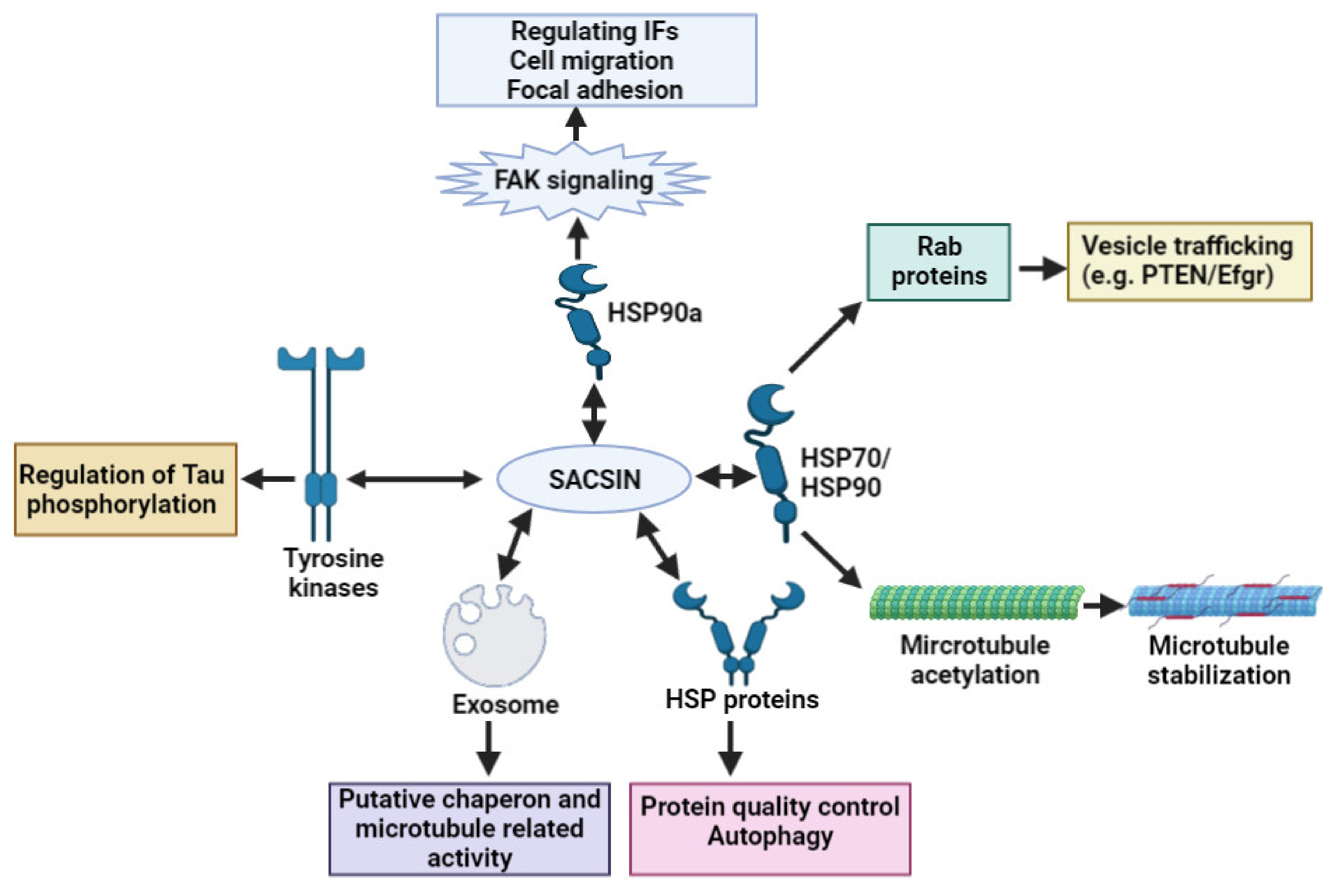 Ijms 23 00552 g002 Ijms 23 00552 g002