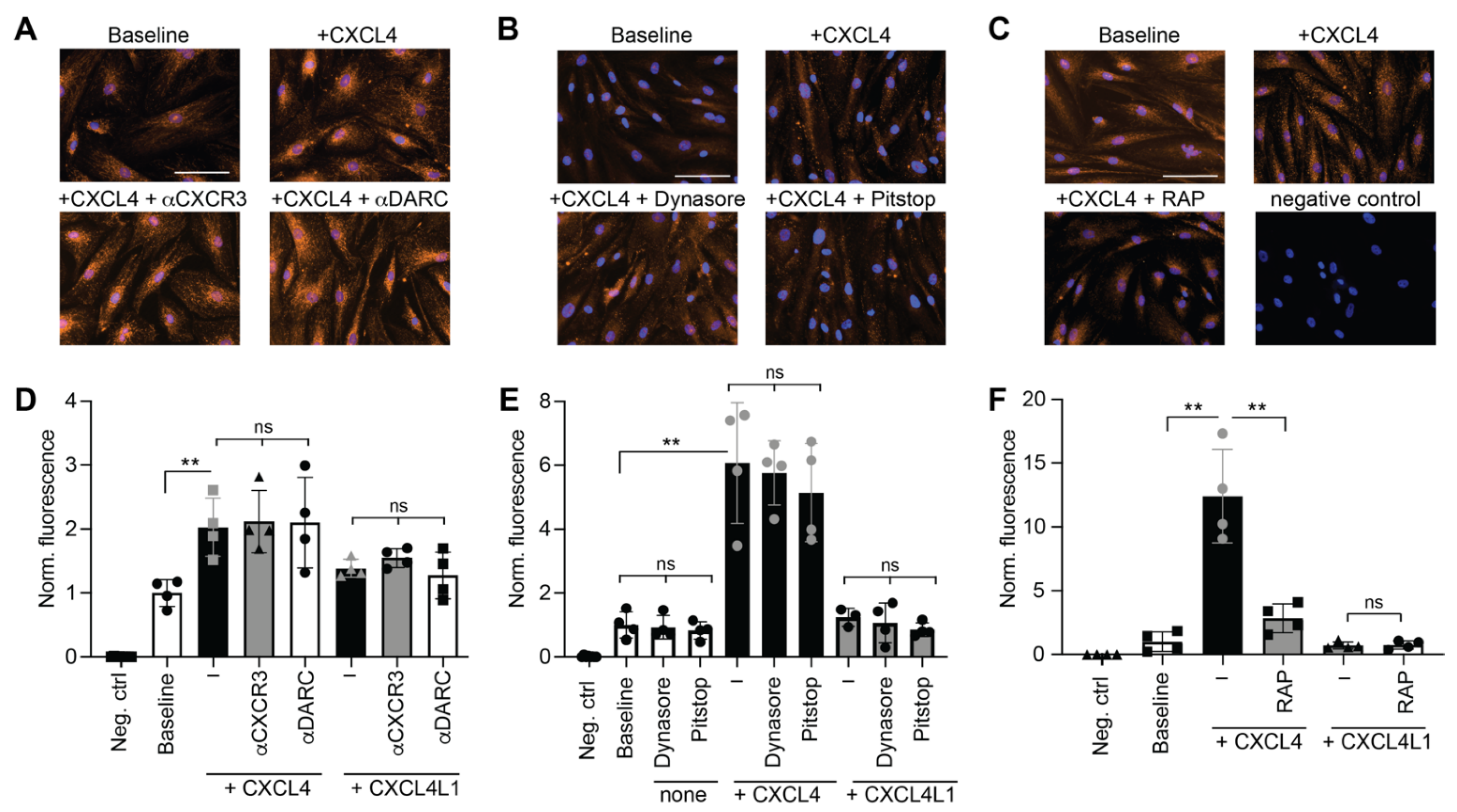 Ijms 23 00580 g002 Ijms 23 00580 g002