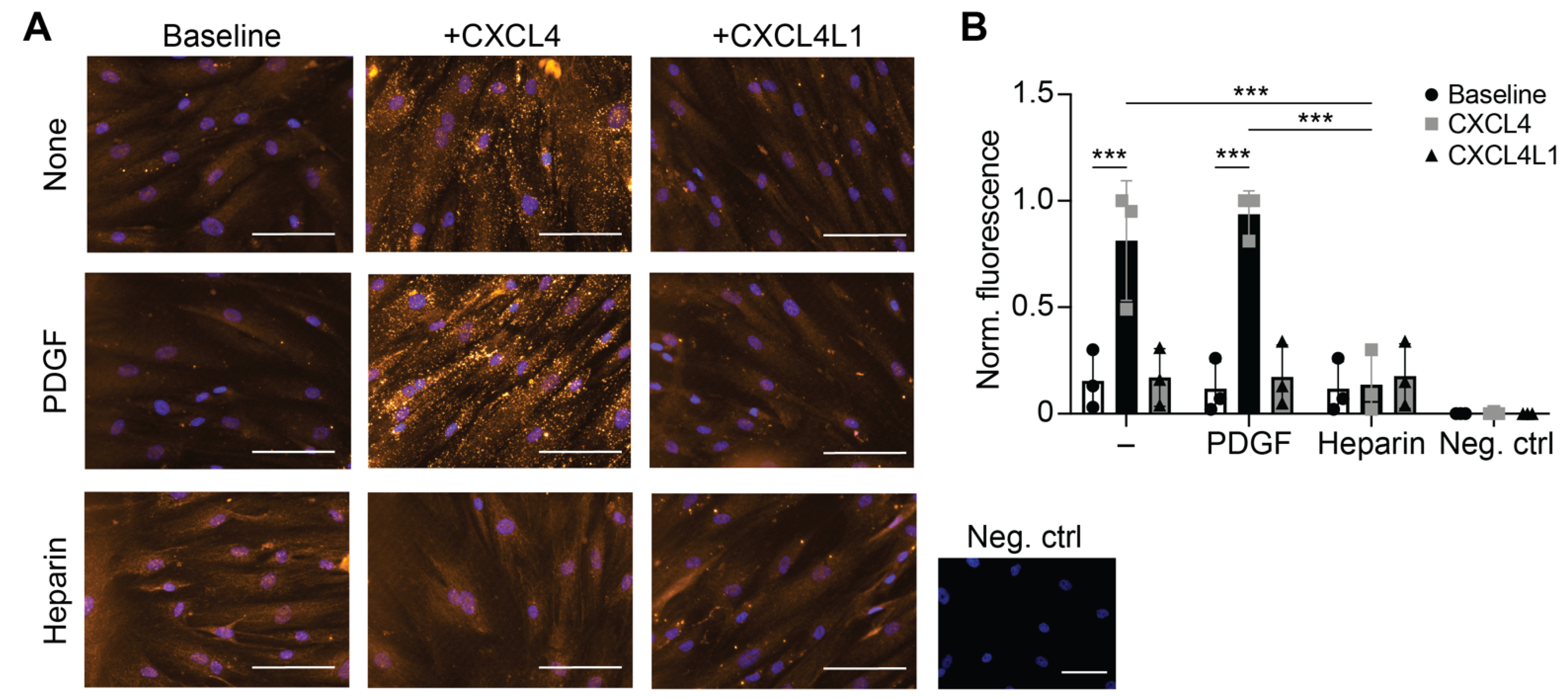 Ijms 23 00580 g003 Ijms 23 00580 g003