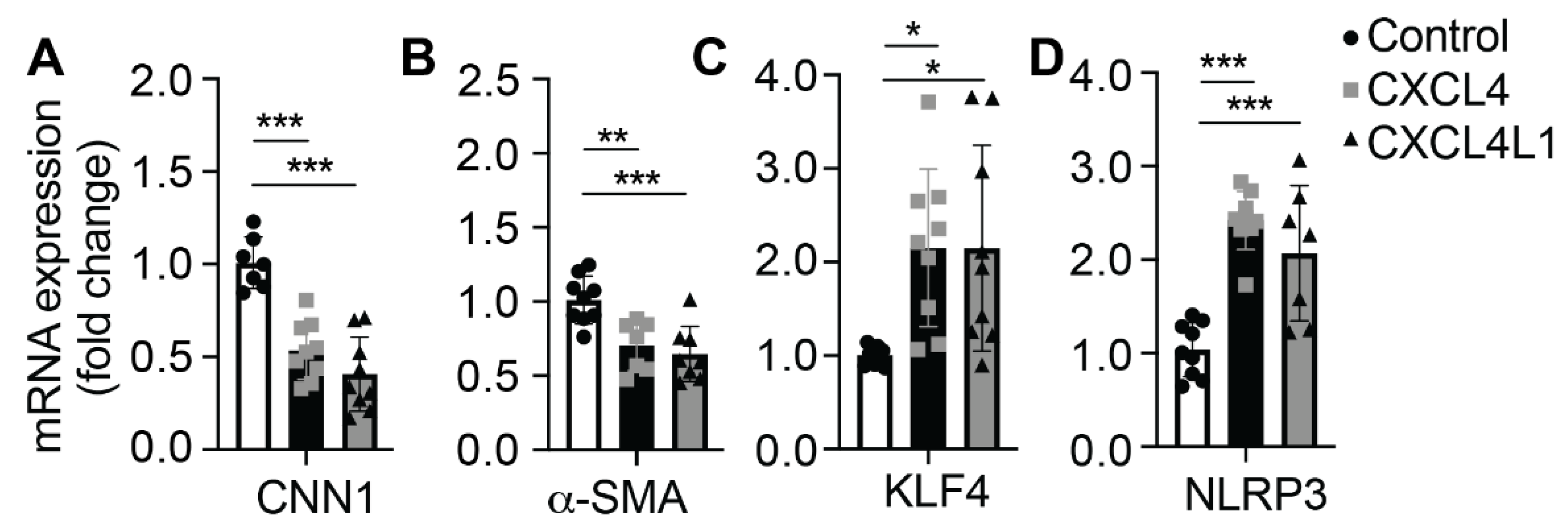 Ijms 23 00580 g004 Ijms 23 00580 g004