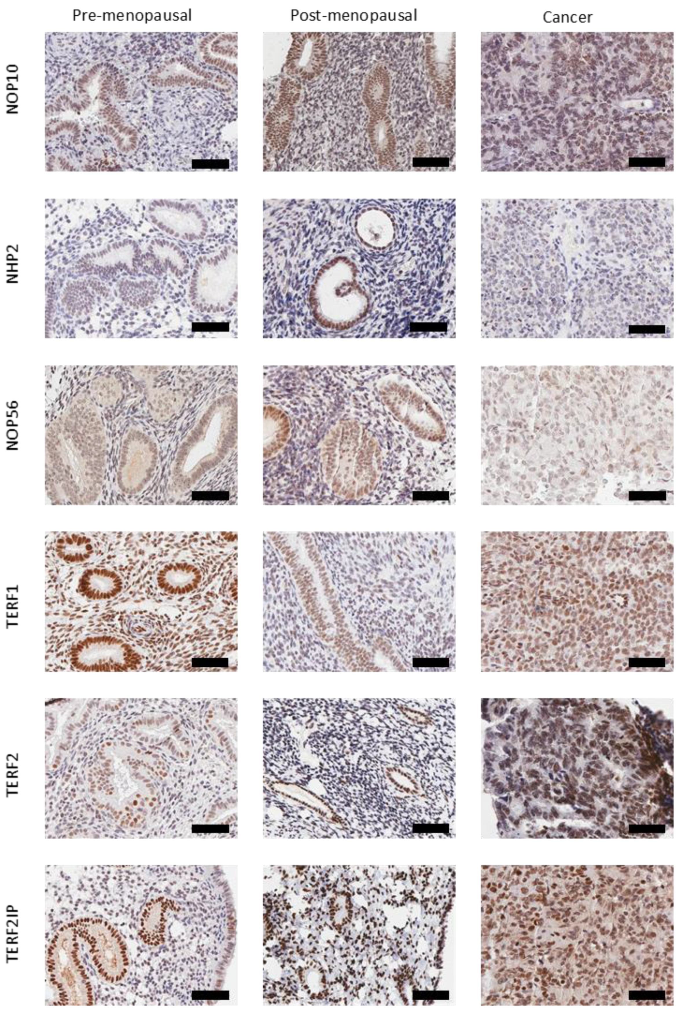 Ijms 23 00626 g004 Ijms 23 00626 g004