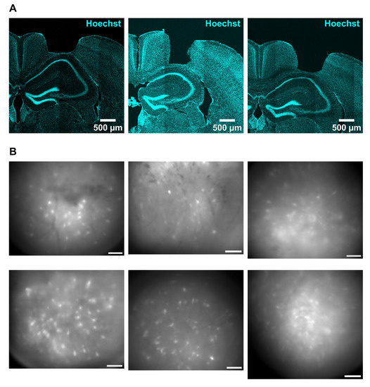 Ijms 23 00638 g0a1 550